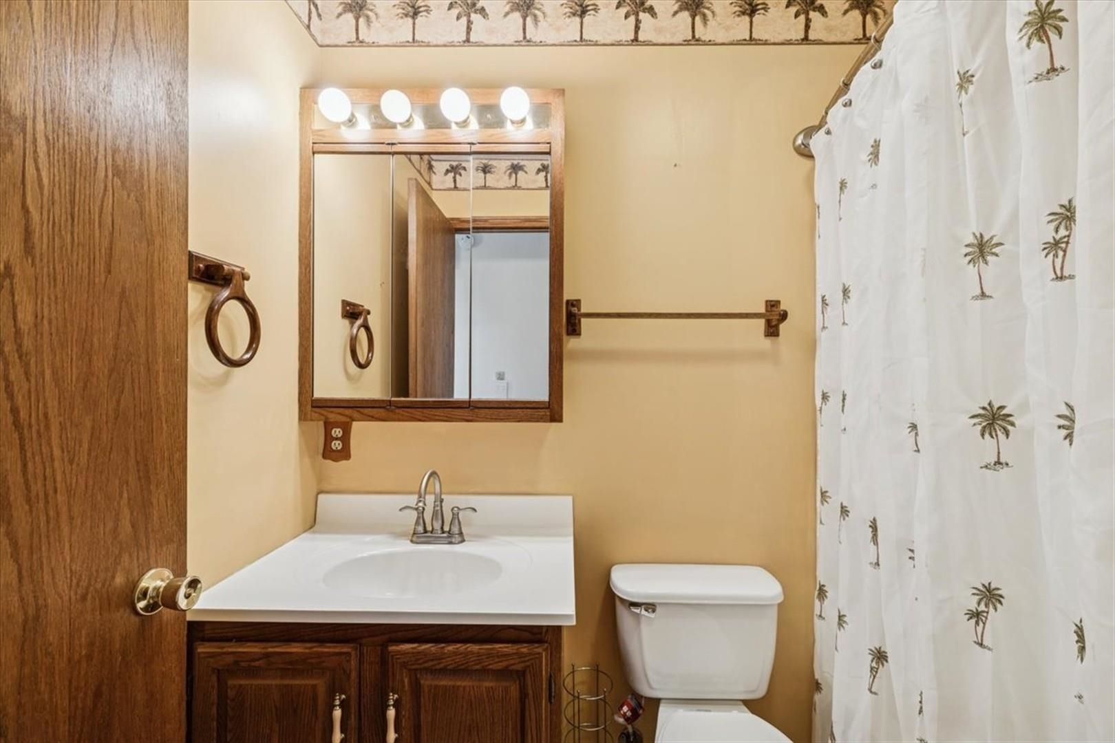 1045 Sweet Briar Lane Clinton, IA 52732 - Photo 26 of 33 a bathroom with a sink a toilet and shower