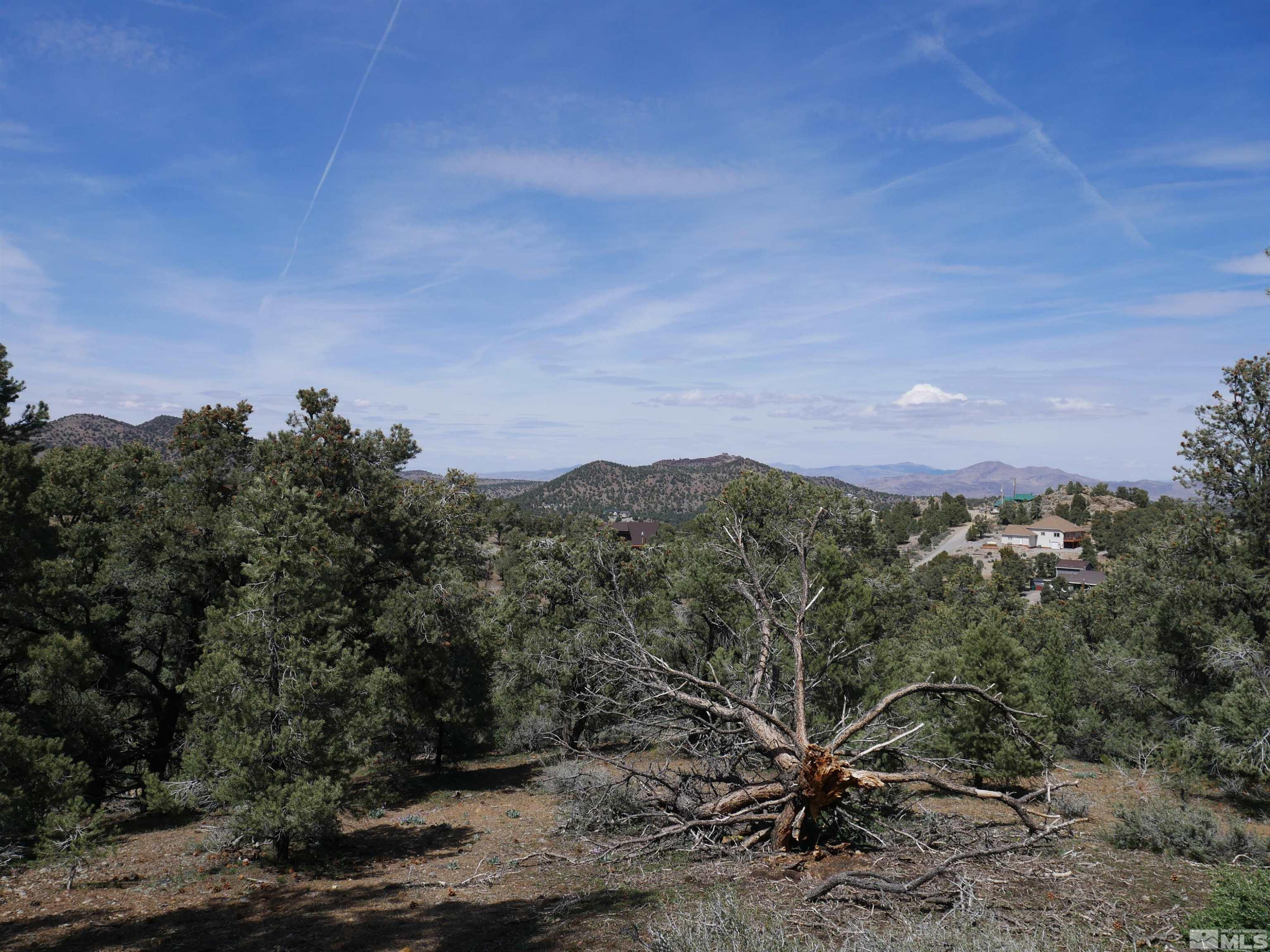 a view of a city with lush green forest