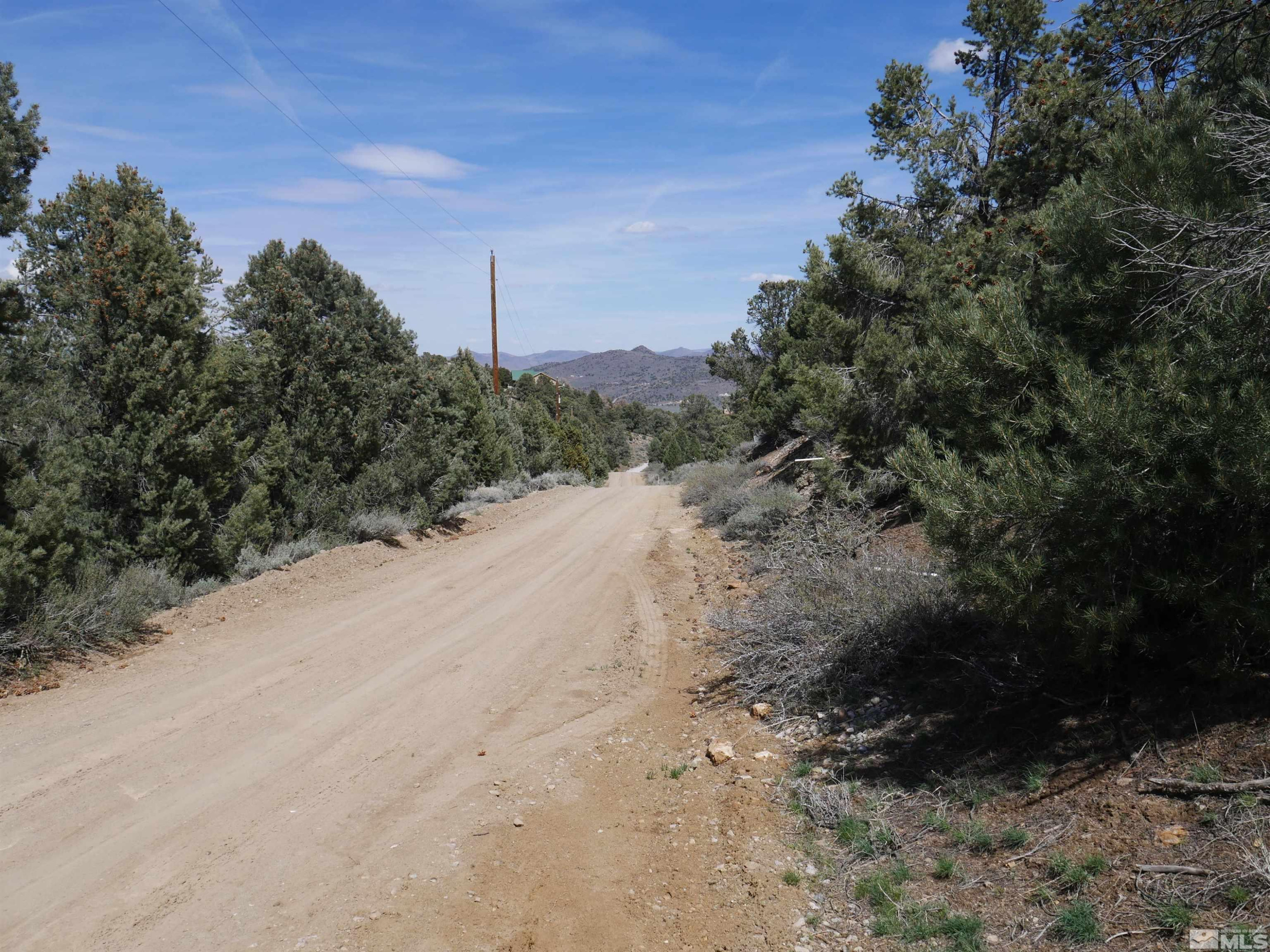 2165 Hermit Road Reno, NV 89521 - Photo 2 of 10 a view of a dry yard with trees