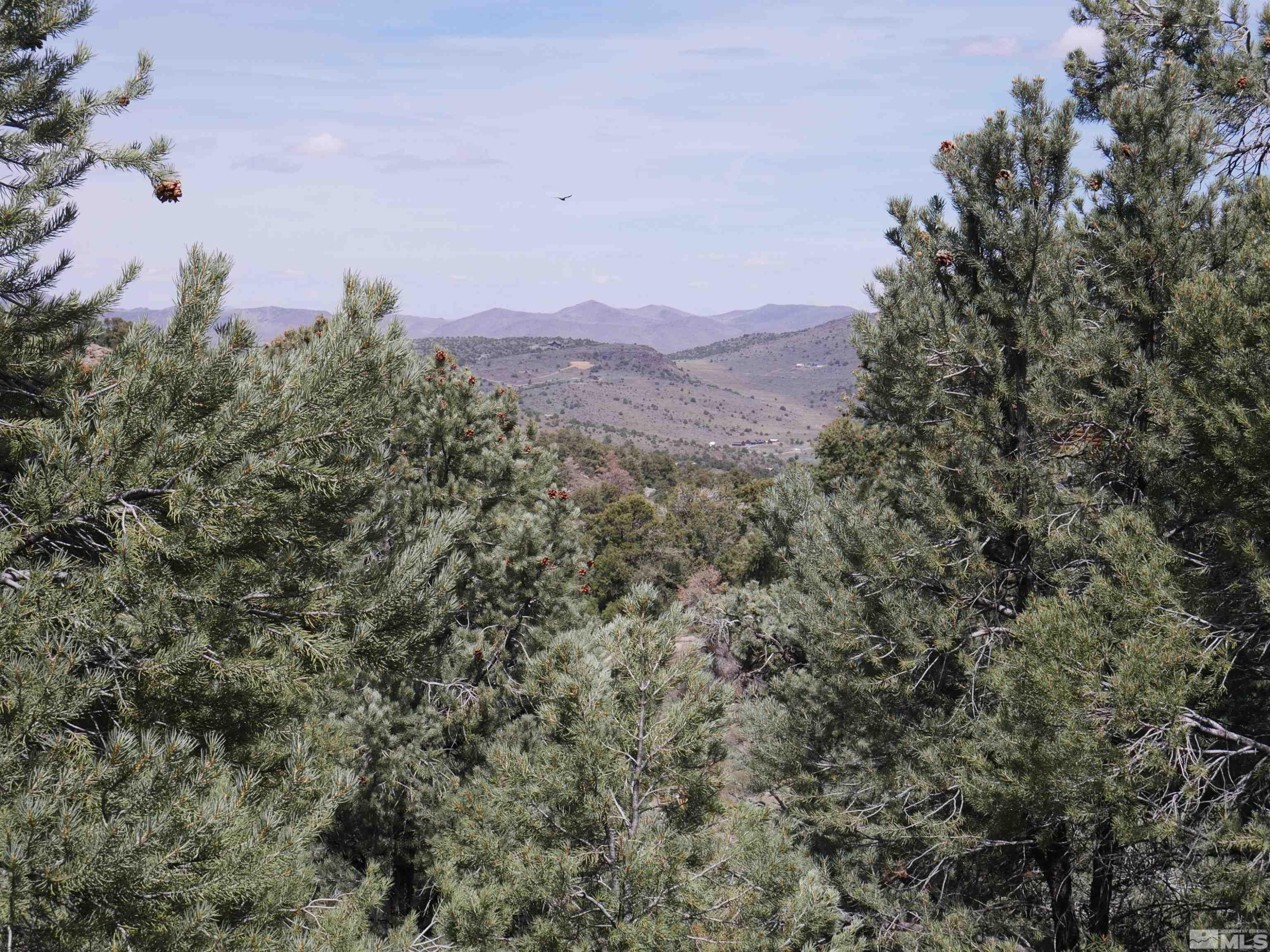 2165 Hermit Road Reno, NV 89521 - Photo 4 of 10 a view of a city