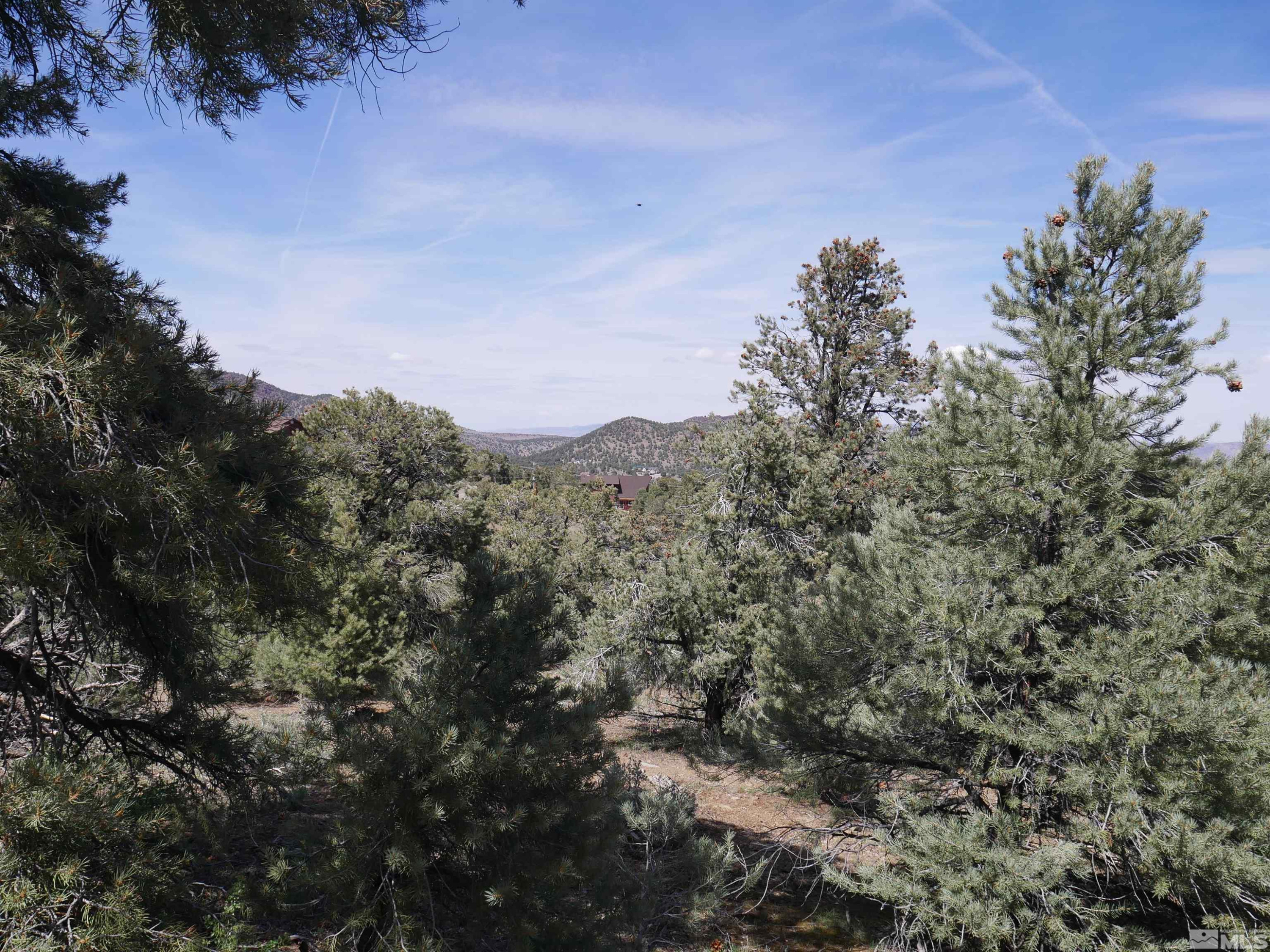 2165 Hermit Road Reno, NV 89521 - Photo 5 of 10 a view of a city with lush green forest