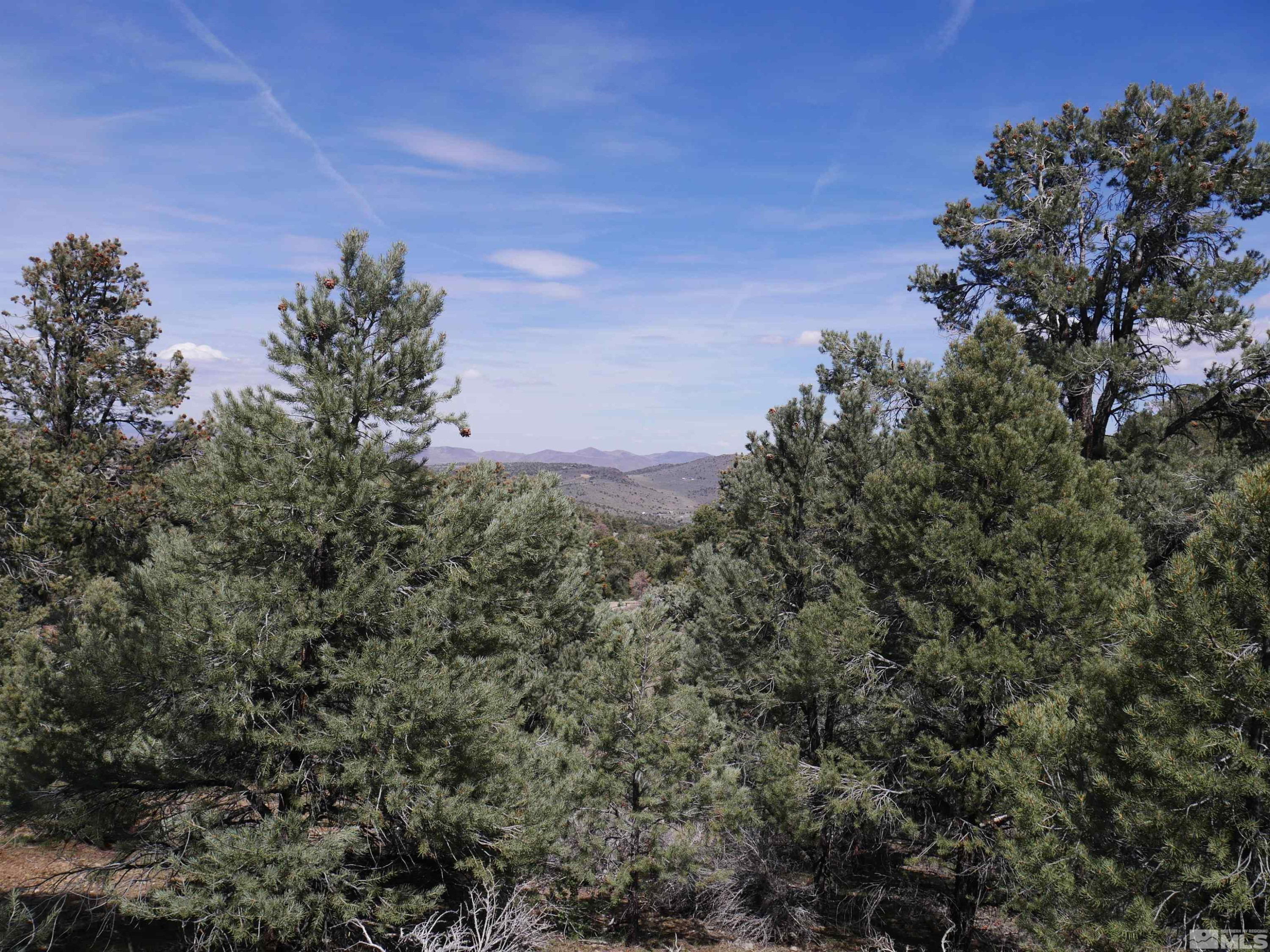 2165 Hermit Road Reno, NV 89521 - Photo 6 of 10 a view of a city with lush green forest