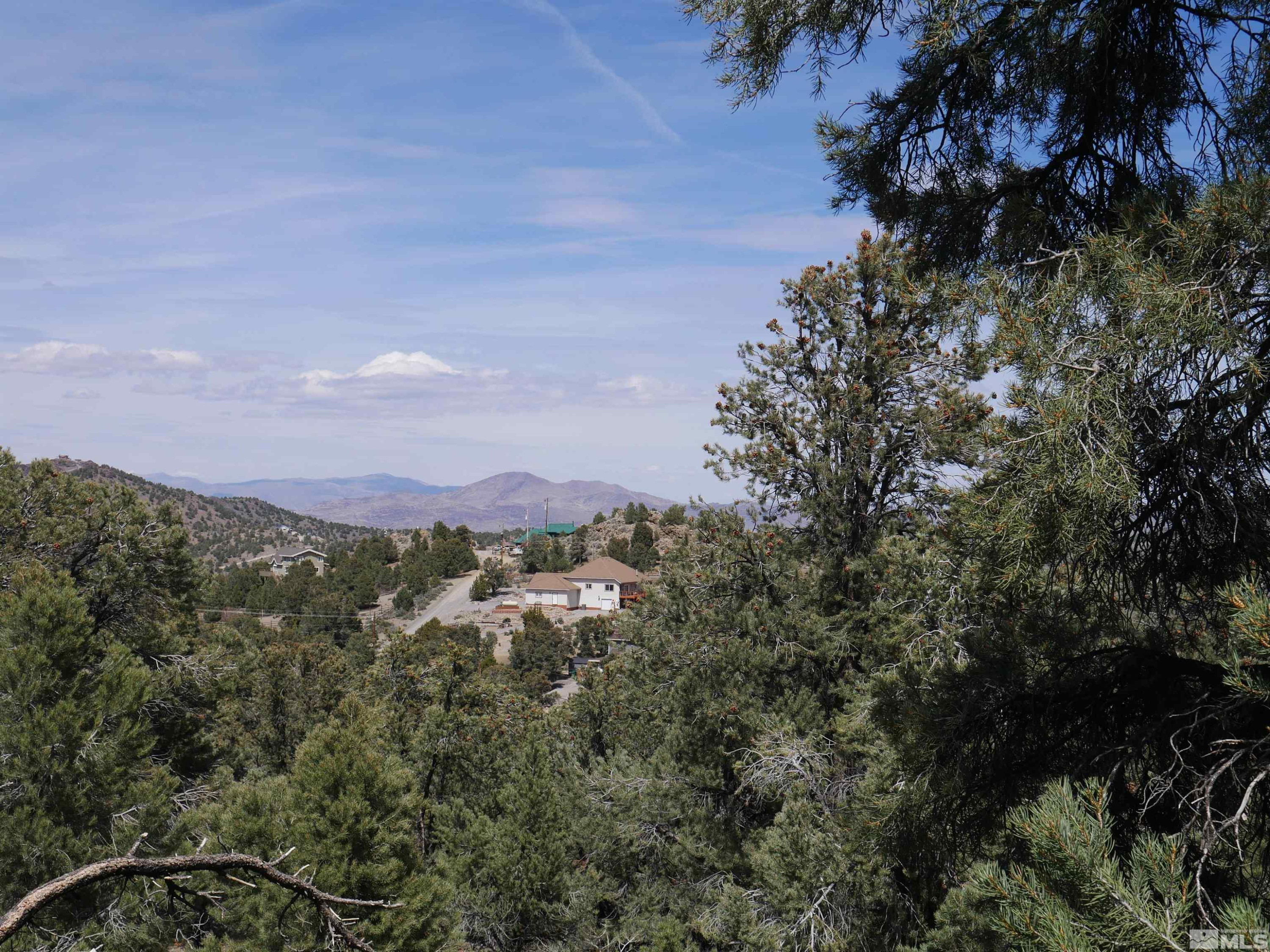 2165 Hermit Road Reno, NV 89521 - Photo 7 of 10 a view of a city with lush green forest