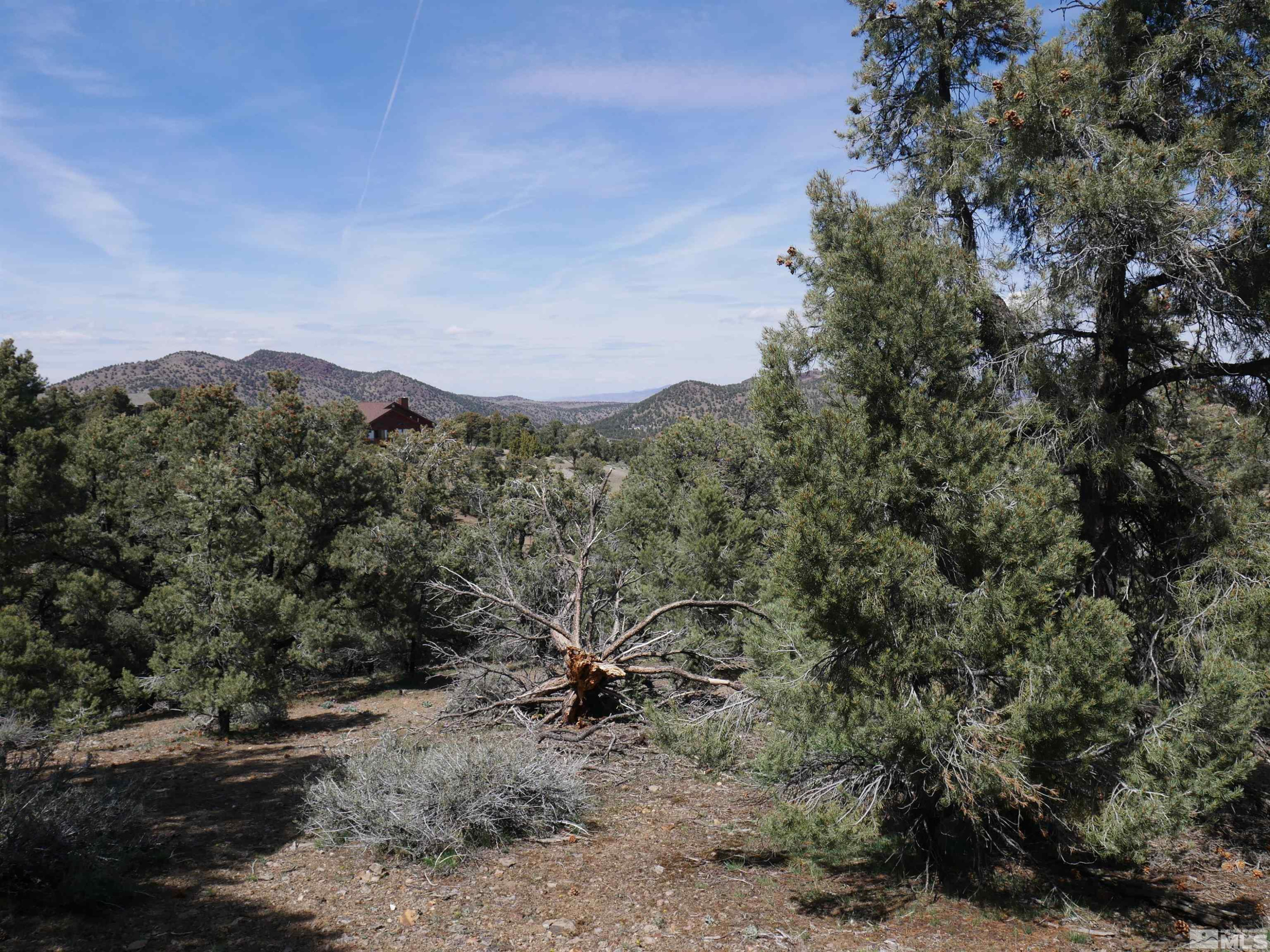 2165 Hermit Road Reno, NV 89521 - Photo 9 of 10 a view of a mountain in the distance in a field