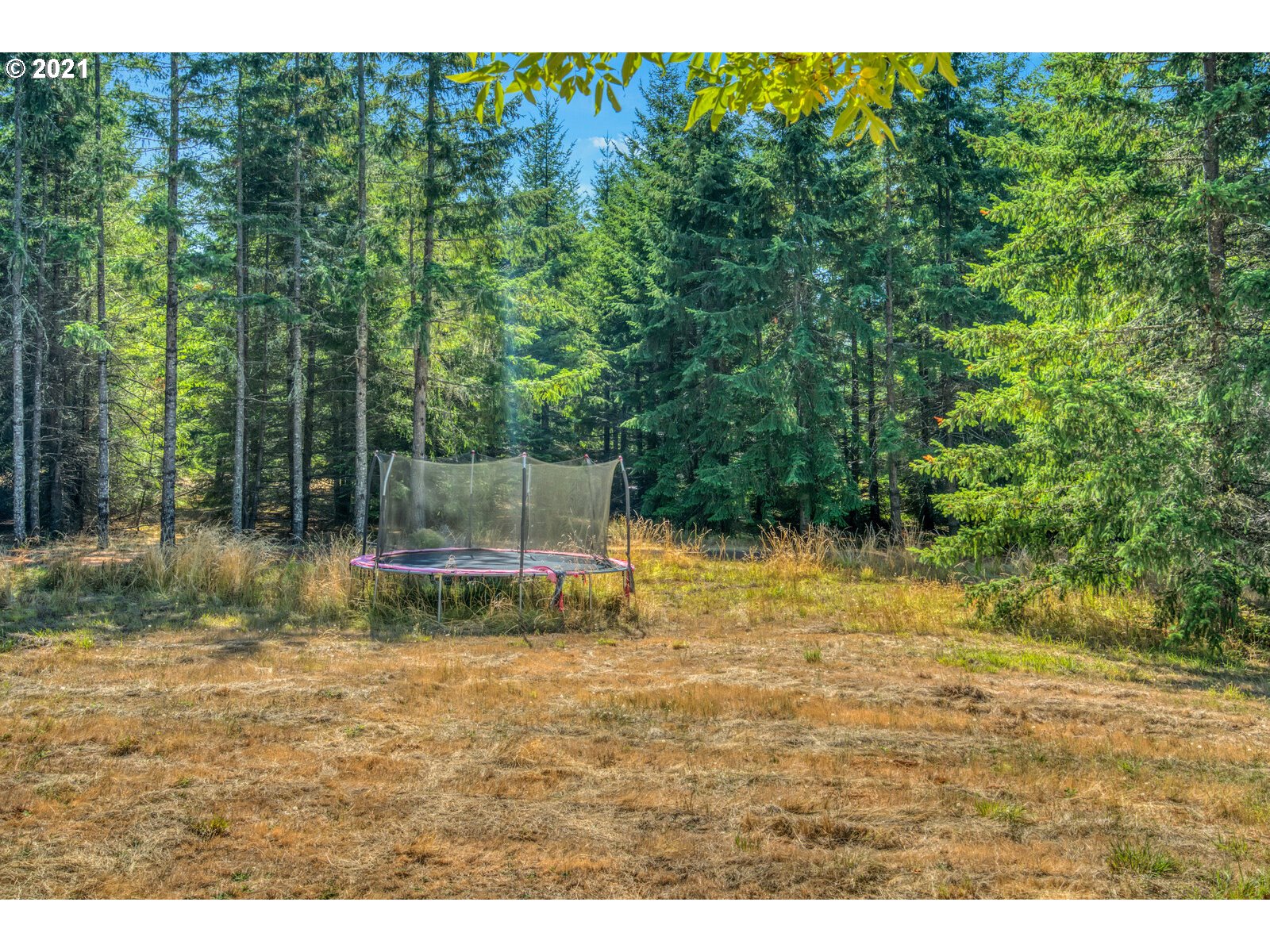 17241 Oakdale Road Dallas, OR 97338 - Photo 7 of 32 a backyard of a house with lots of green space