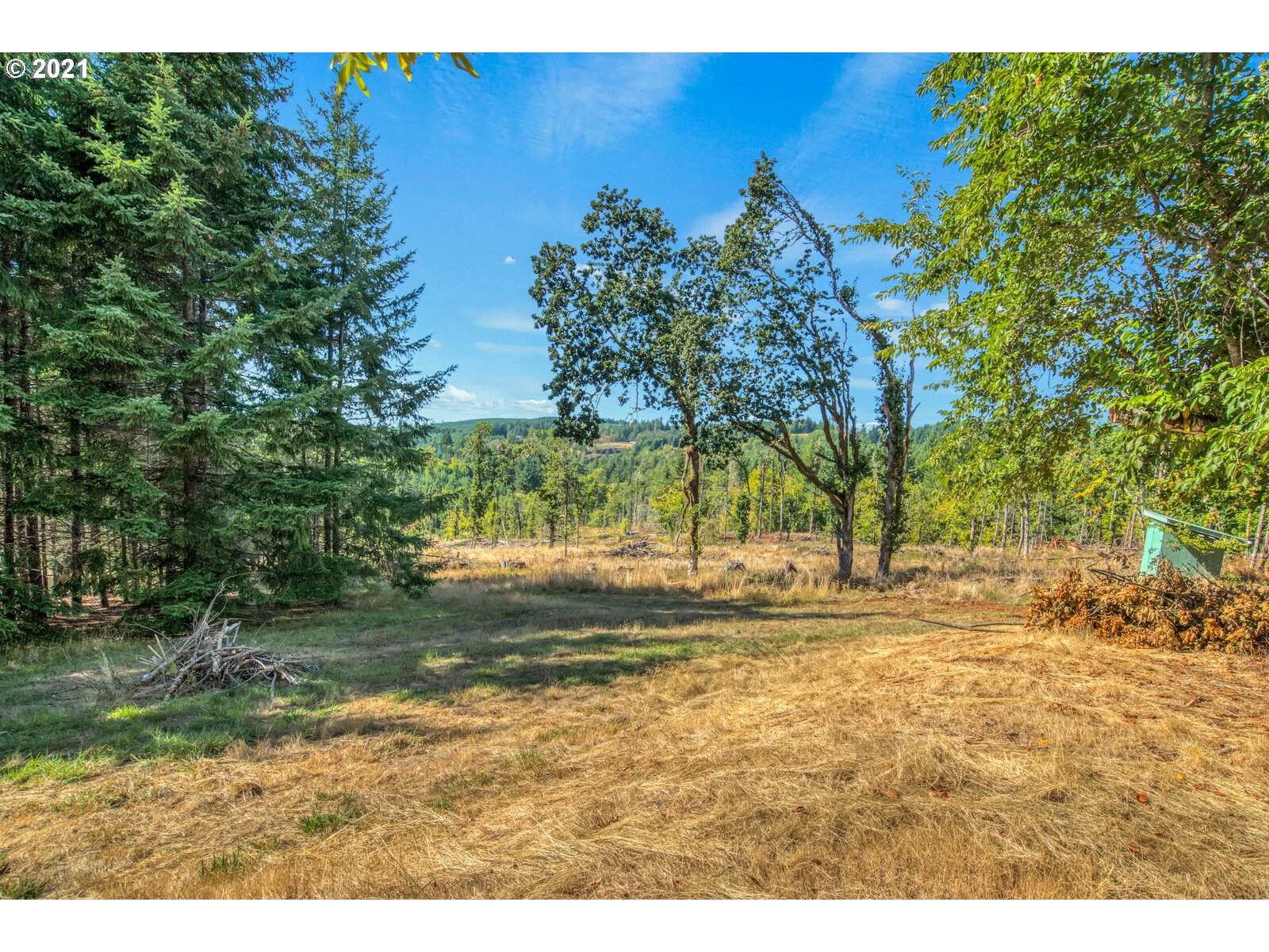 17241 Oakdale Road Dallas, OR 97338 - Photo 8 of 32 a view of a yard with a tree