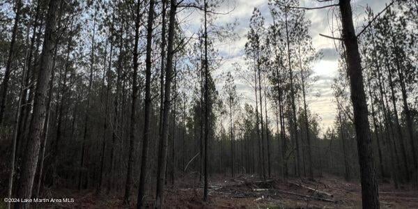 24 Pleasant Road Camp Hill, AL 36850 - Photo 14 of 21 Gallery Image 14
