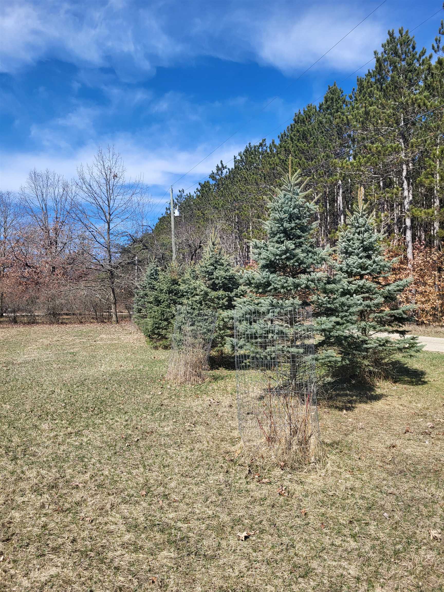 West Little Turtle Way Weidman, MI 48893 - Photo 9 of 11