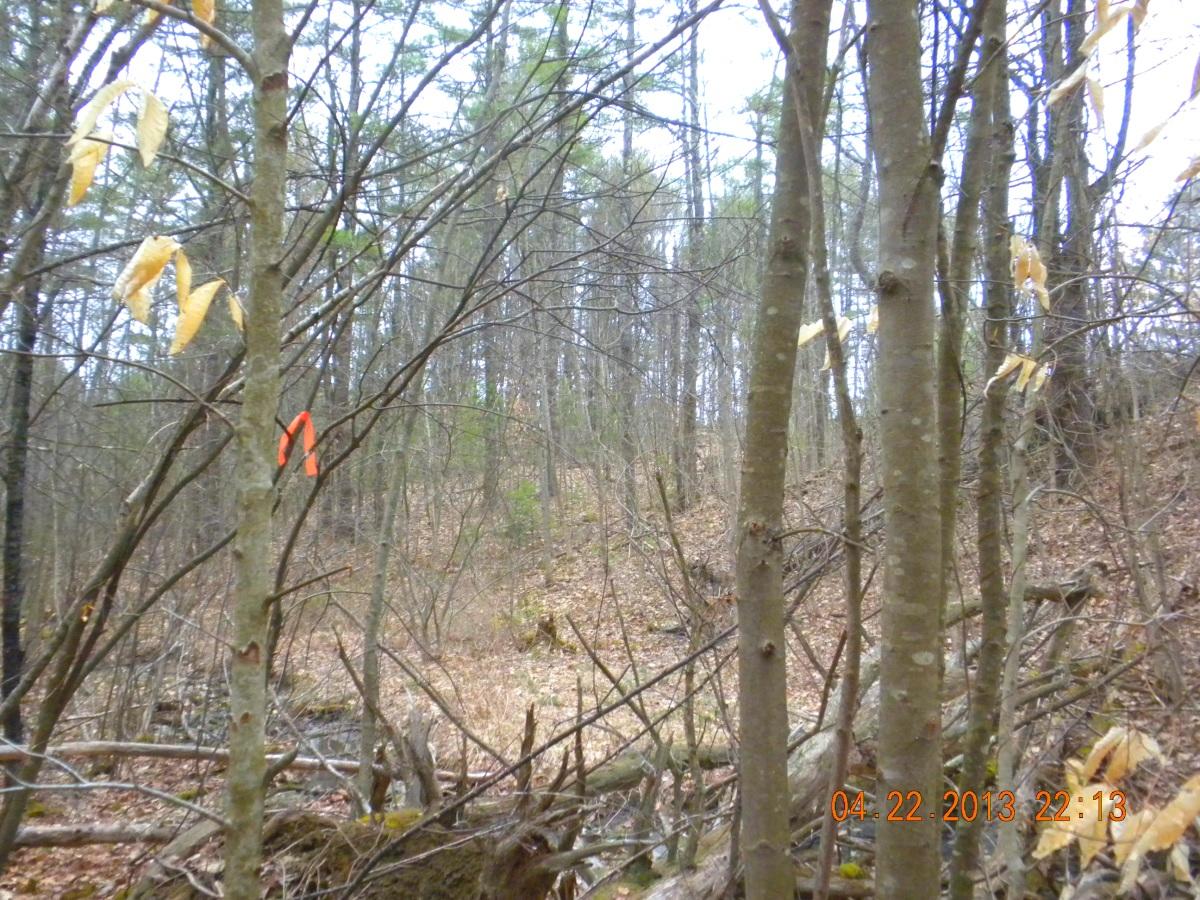 85 Mitchell Hill Road Gorham, ME 04038 - Photo 10 of 39 DSCN6284 a