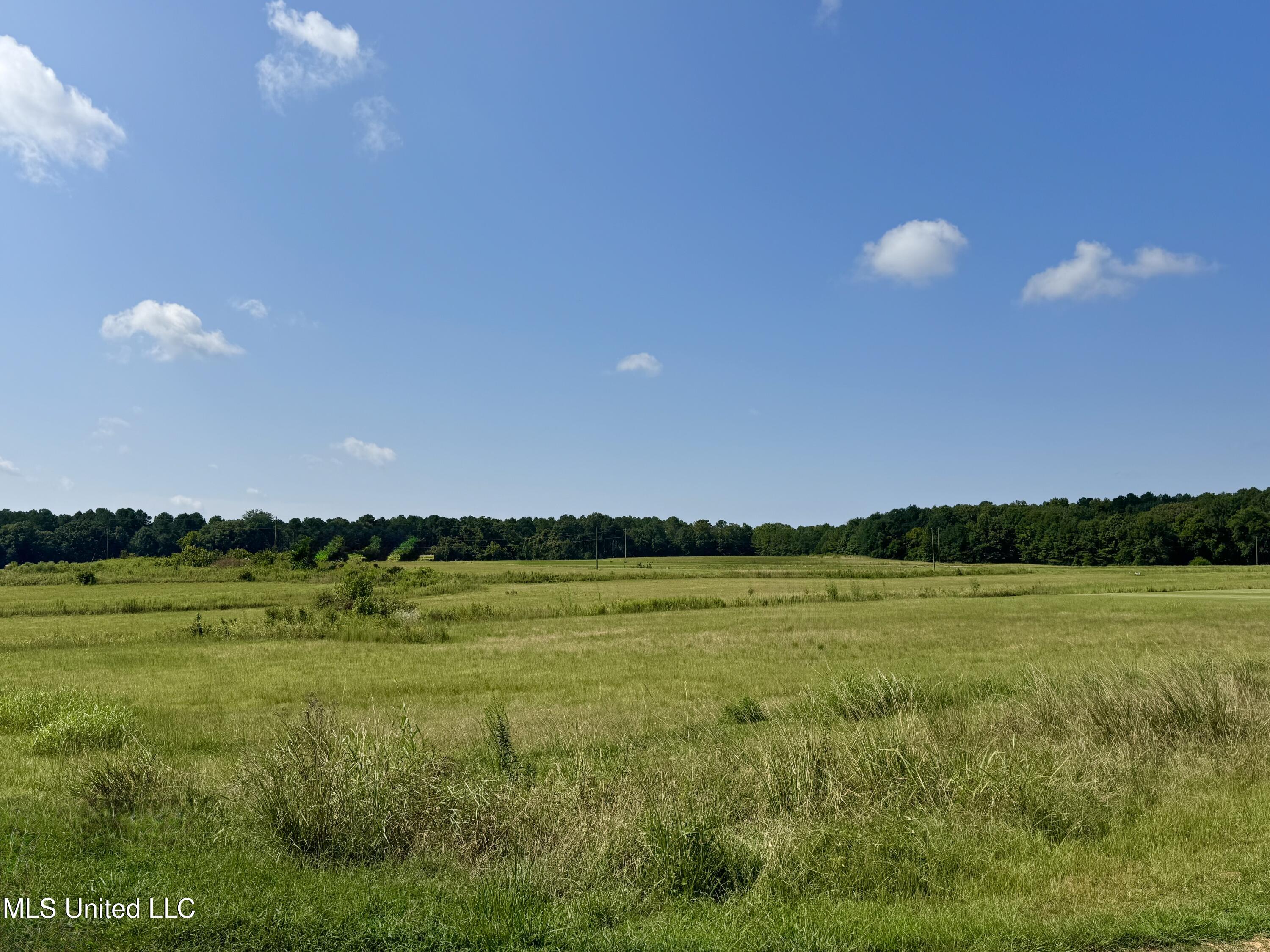 R2 Old Highway 16 Benton, MS 39039 - Photo 6 of 12 IMG_8876