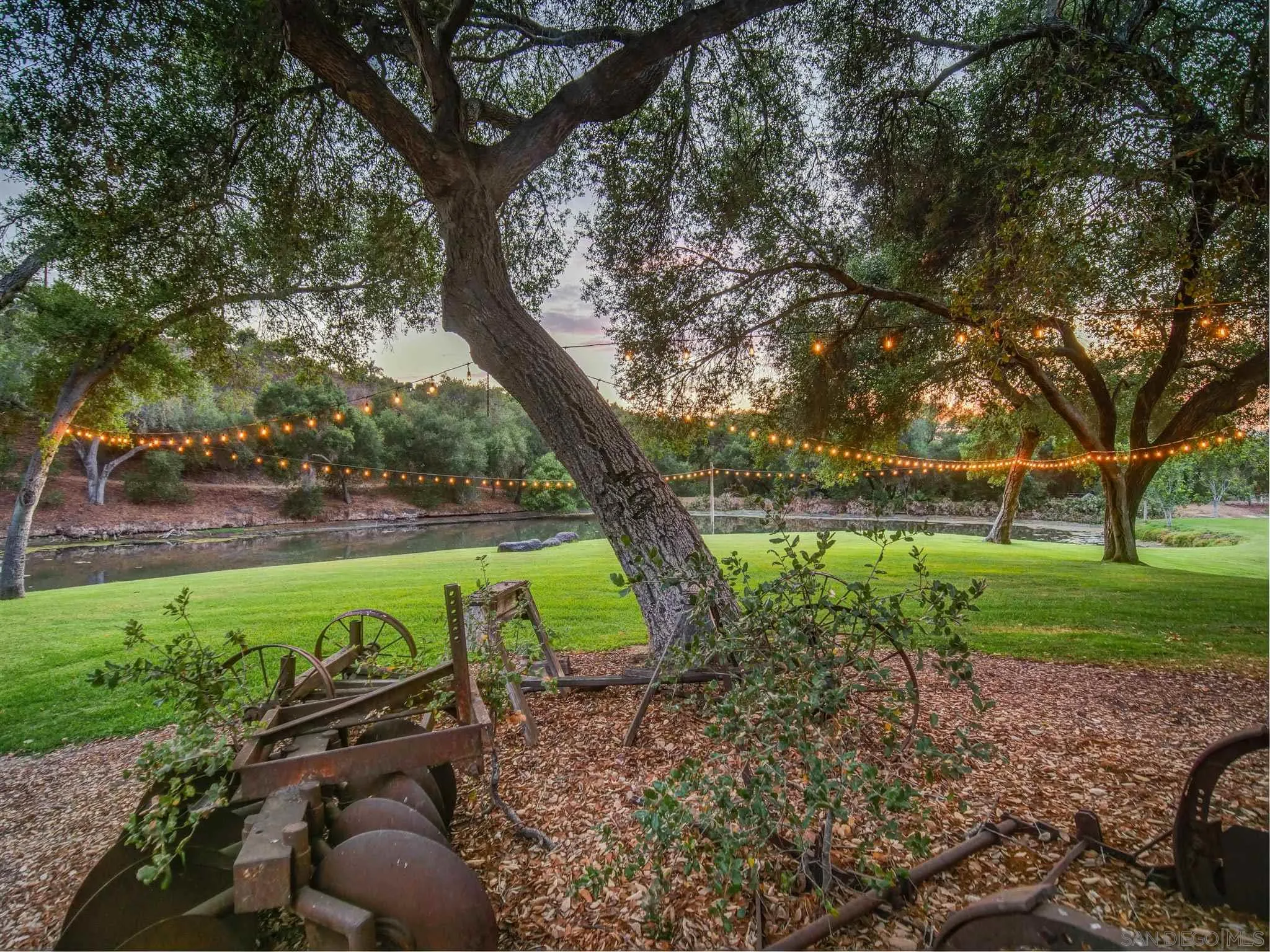 1102 Nicola Ranch Road Fallbrook, CA 92028 - Photo 6 of 63 a view of a garden with a tree