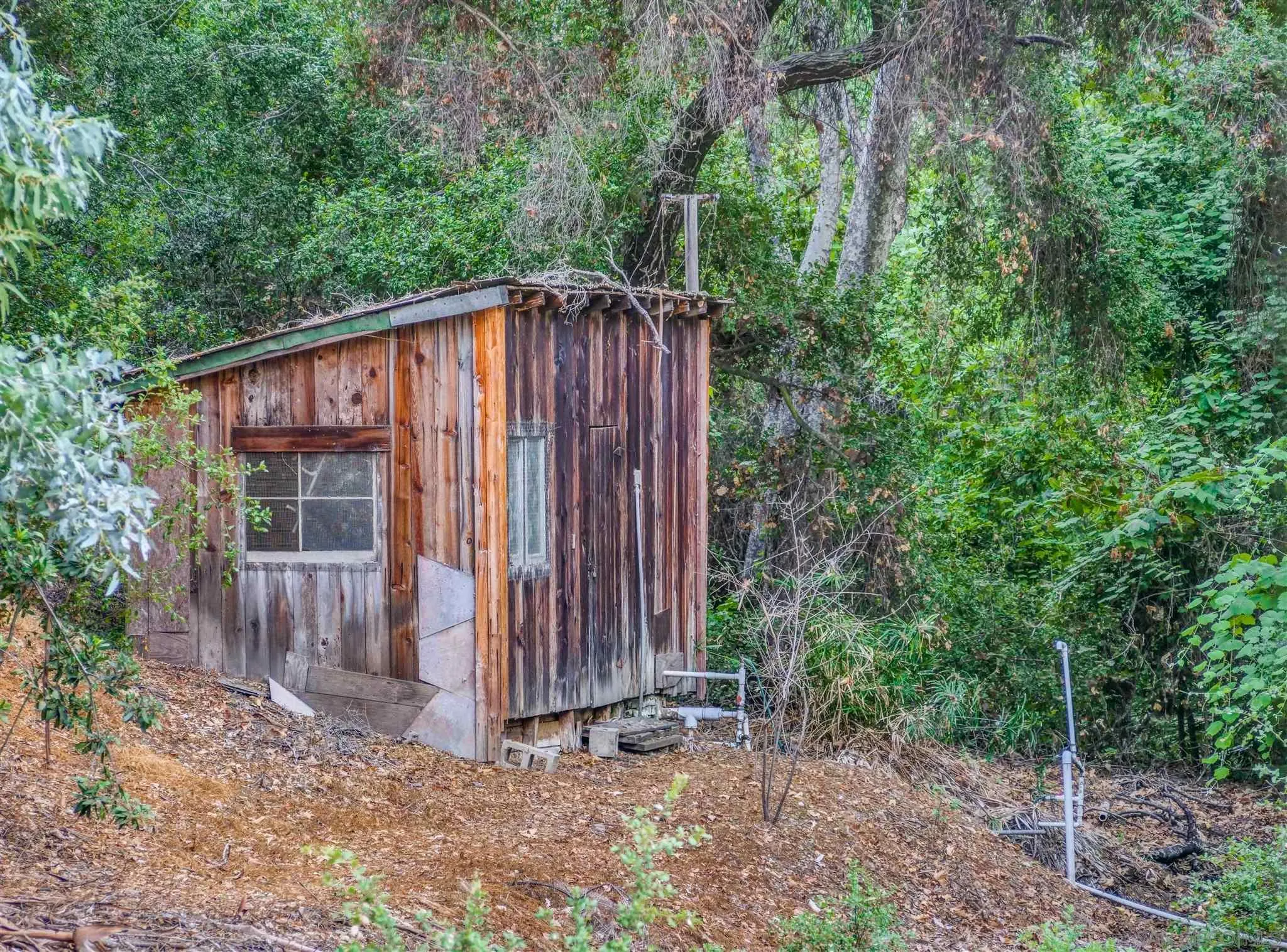 1102 Nicola Ranch Road Fallbrook, CA 92028 - Photo 62 of 63 a view of a house with backyard and trees