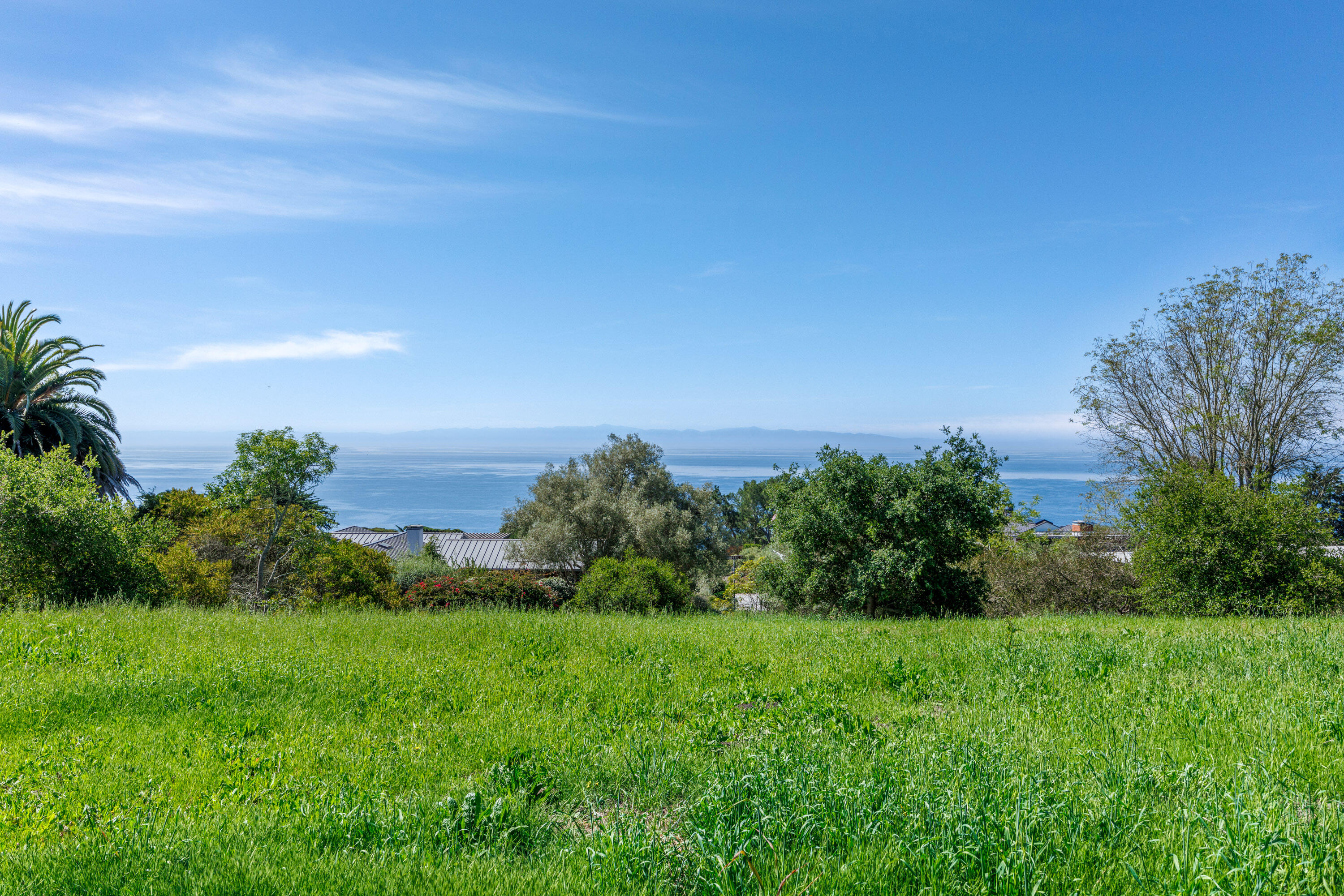 3324 Campanil Drive Santa Barbara, CA 93109 - Photo 23 of 42 a view of a garden with plants and large trees