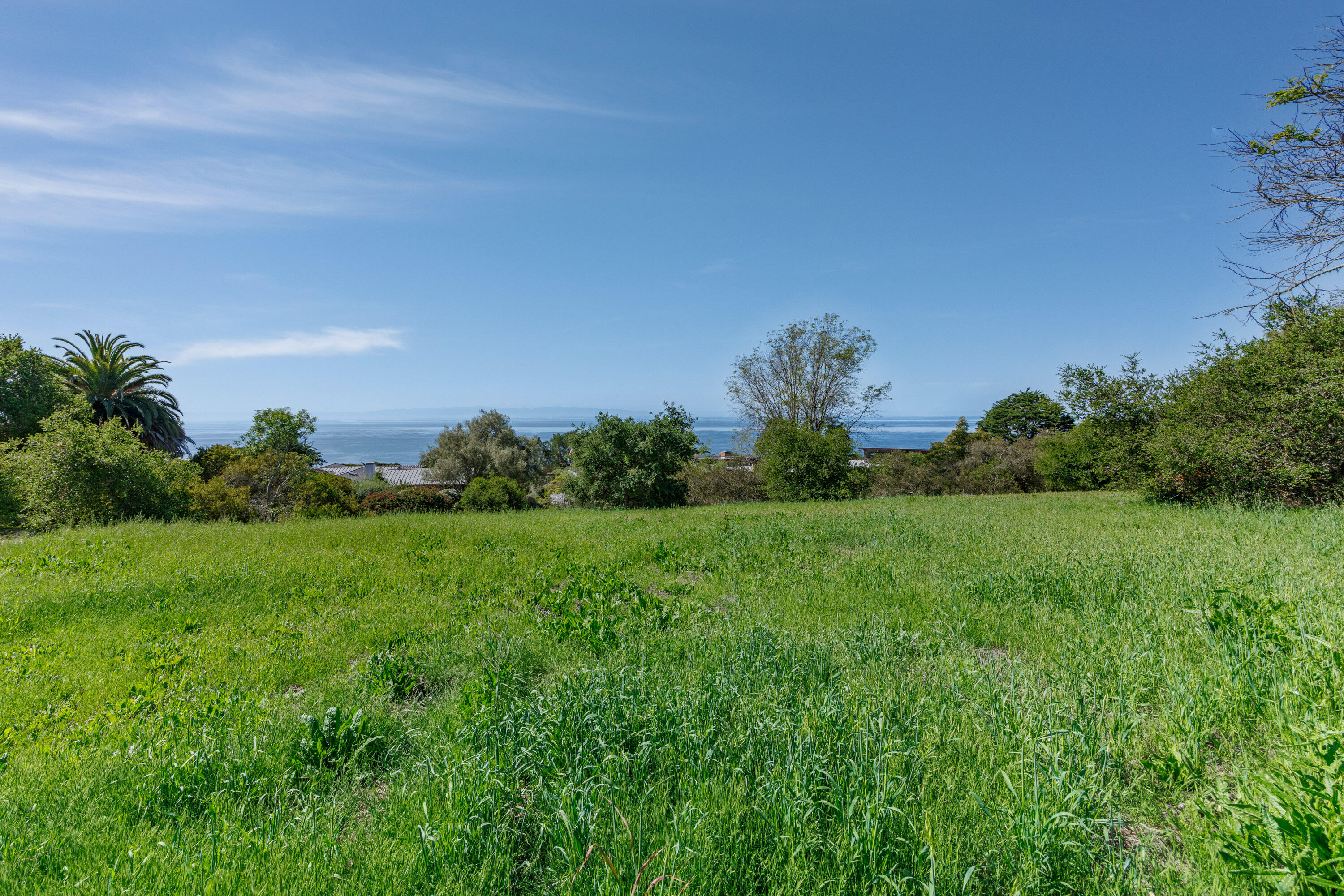 3324 Campanil Drive Santa Barbara, CA 93109 - Photo 24 of 42 a backyard of a house with lots of green space