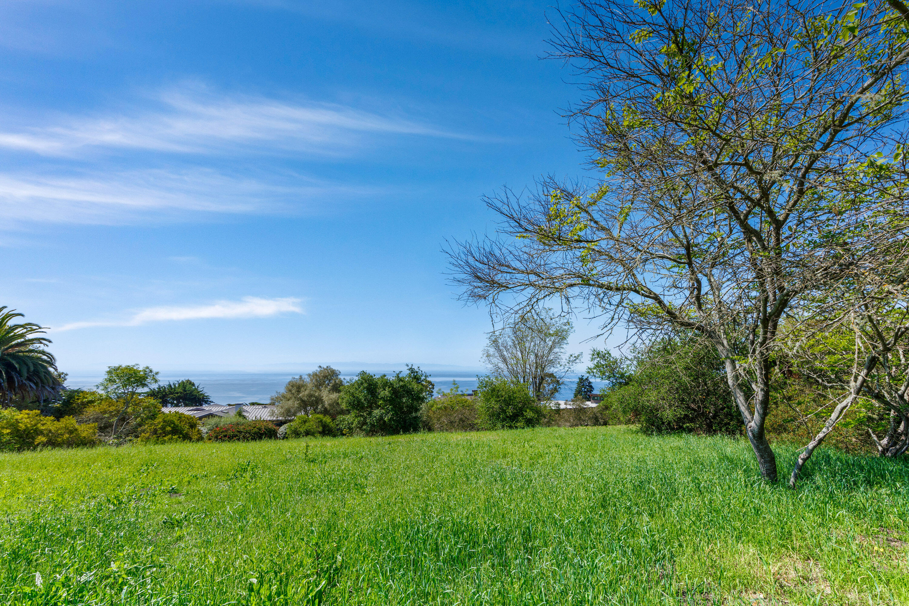 3324 Campanil Drive Santa Barbara, CA 93109 - Photo 25 of 42 a view of a yard with a tree