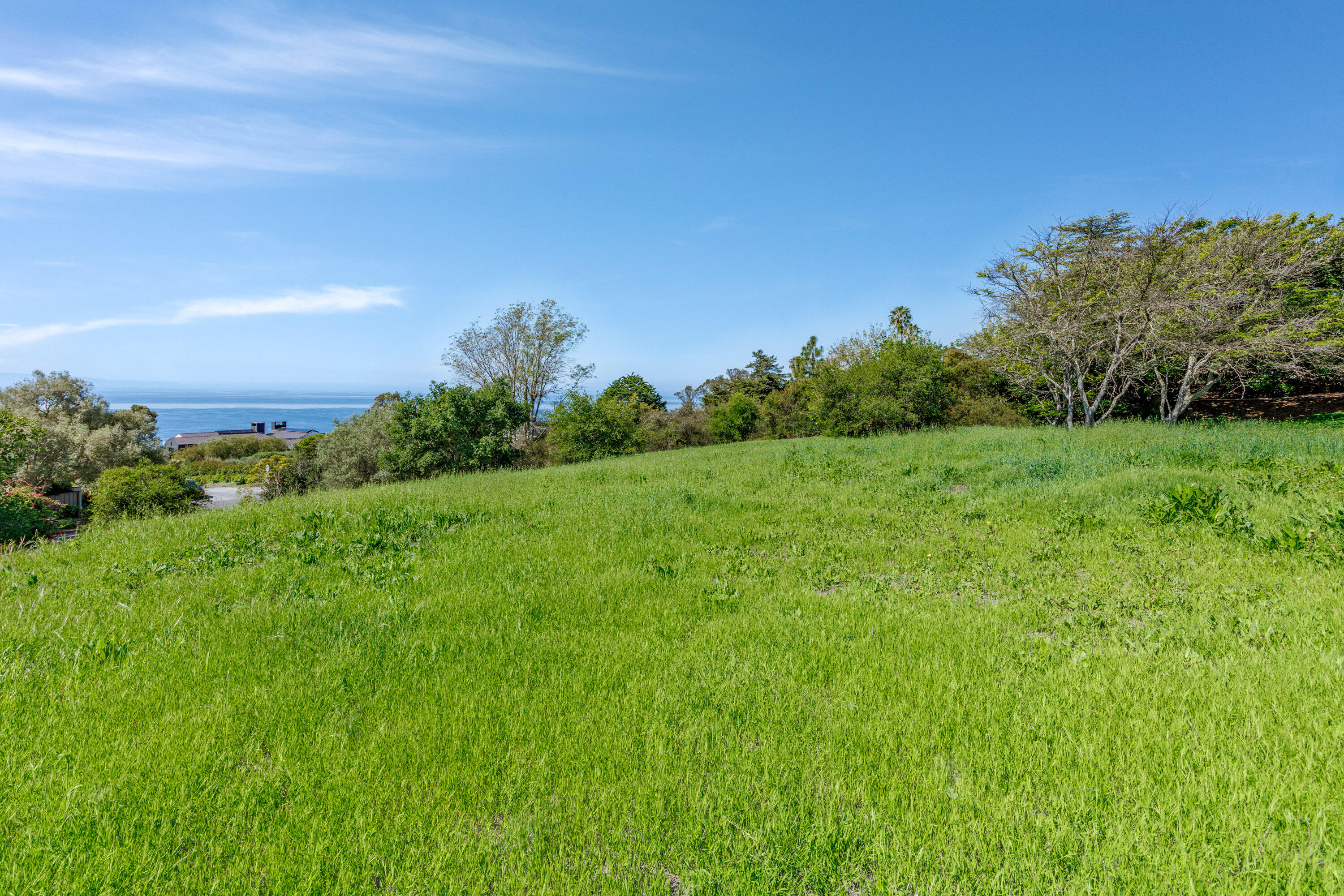 3324 Campanil Drive Santa Barbara, CA 93109 - Photo 26 of 42 a view of a field with an trees