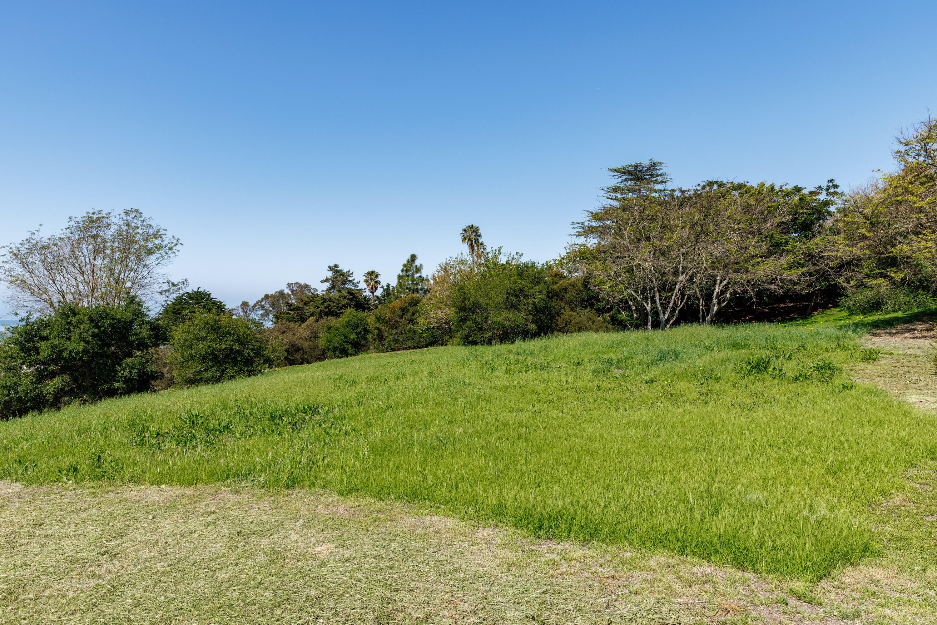 3324 Campanil Drive Santa Barbara, CA 93109 - Photo 28 of 42 a view of a field of grass and trees