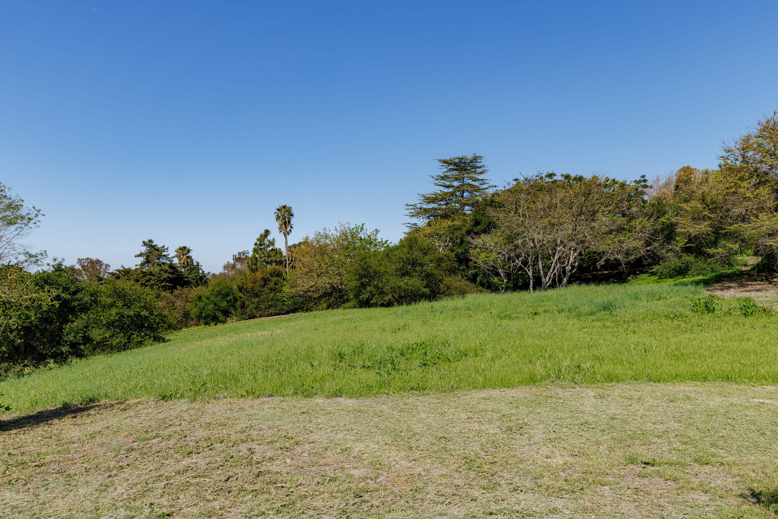 3324 Campanil Drive Santa Barbara, CA 93109 - Photo 29 of 42 a view of a field with an trees in the background