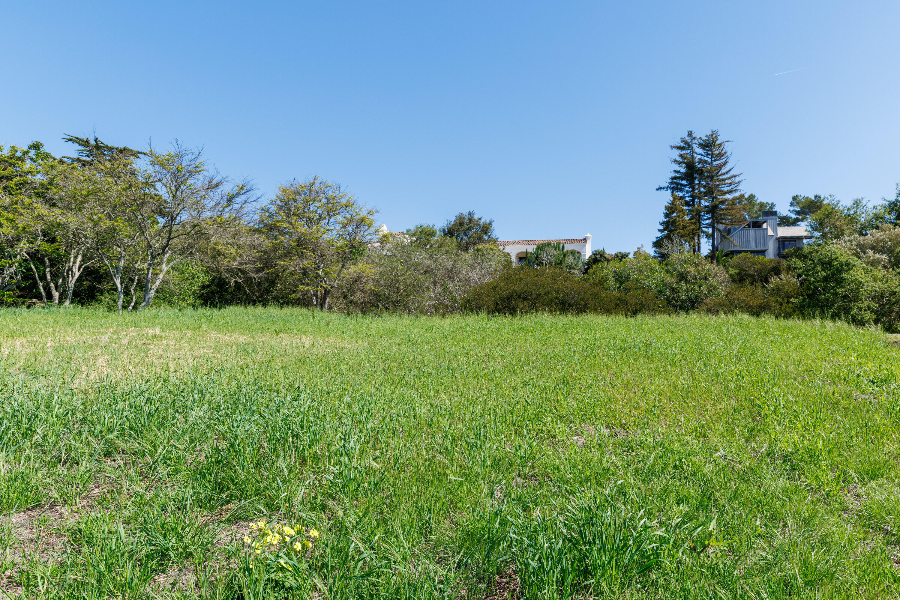 3324 Campanil Drive Santa Barbara, CA 93109 - Photo 31 of 42 a view of a garden with a building in the background