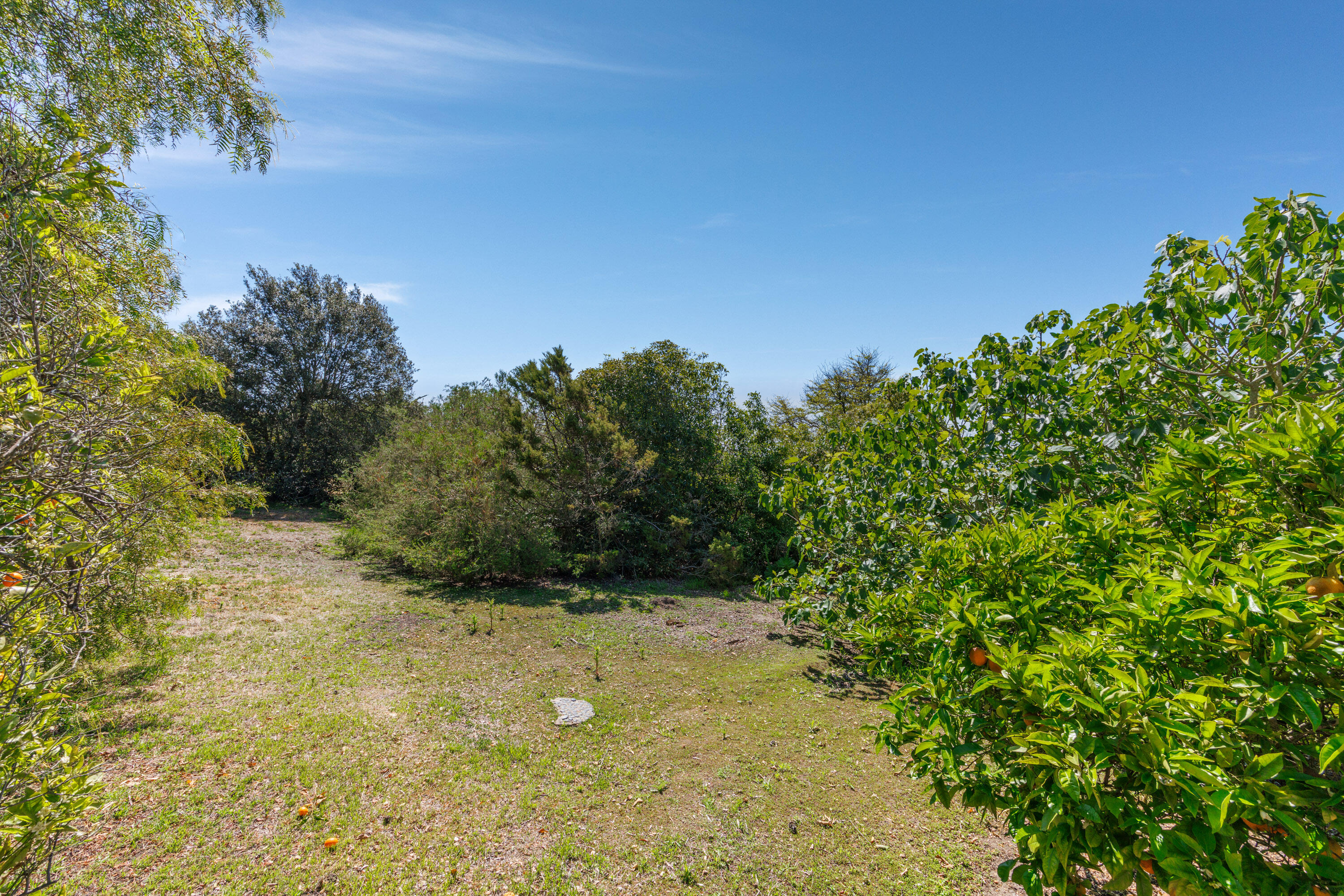 3324 Campanil Drive Santa Barbara, CA 93109 - Photo 35 of 42 a view of backyard with green space