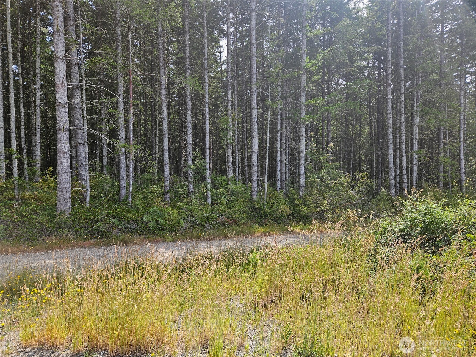 -nka L Lee Valley Road Quilcene, WA 98376 - Photo 4 of 10
