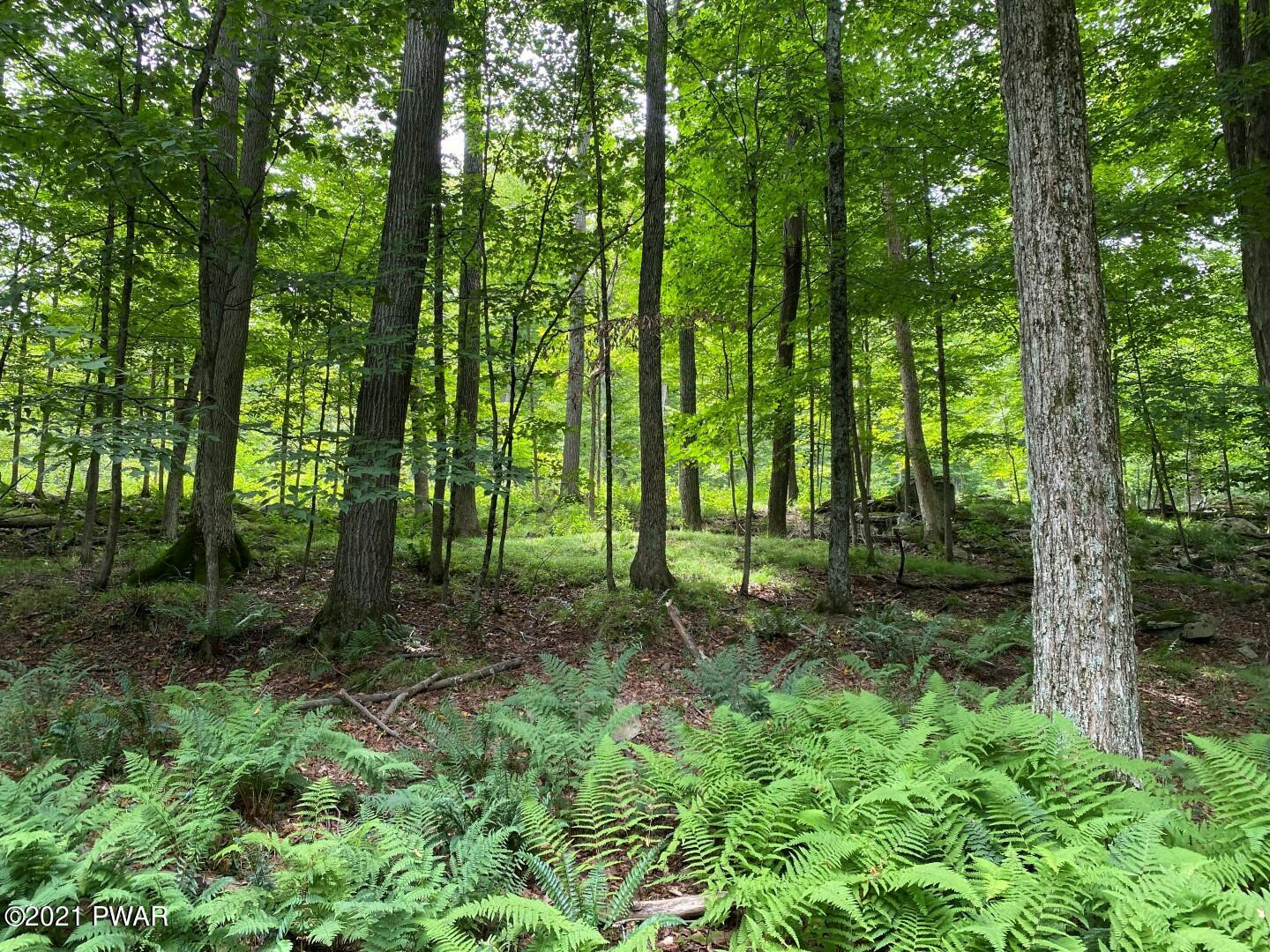 93 Ridge Road Lake Ariel, PA 18436 - Photo 7 of 40