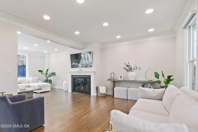 a living room with furniture fireplace and potted plant