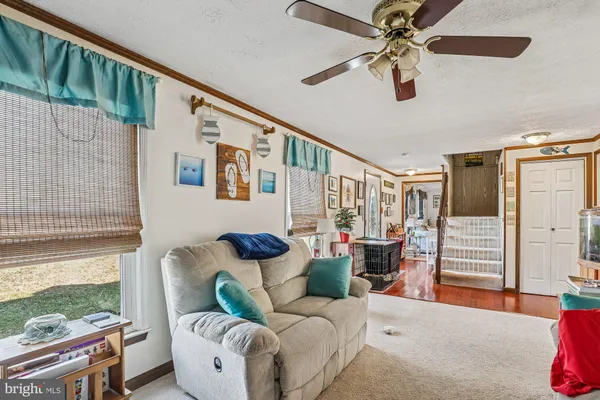 a living room with furniture and a window