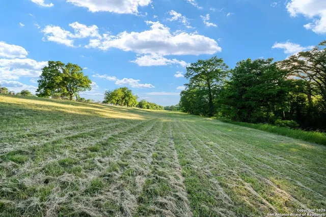 a view of a big yard with lots of green space