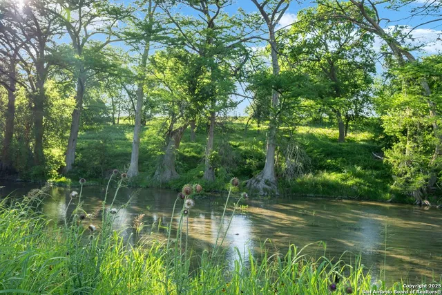 a view of a lake view with a garden