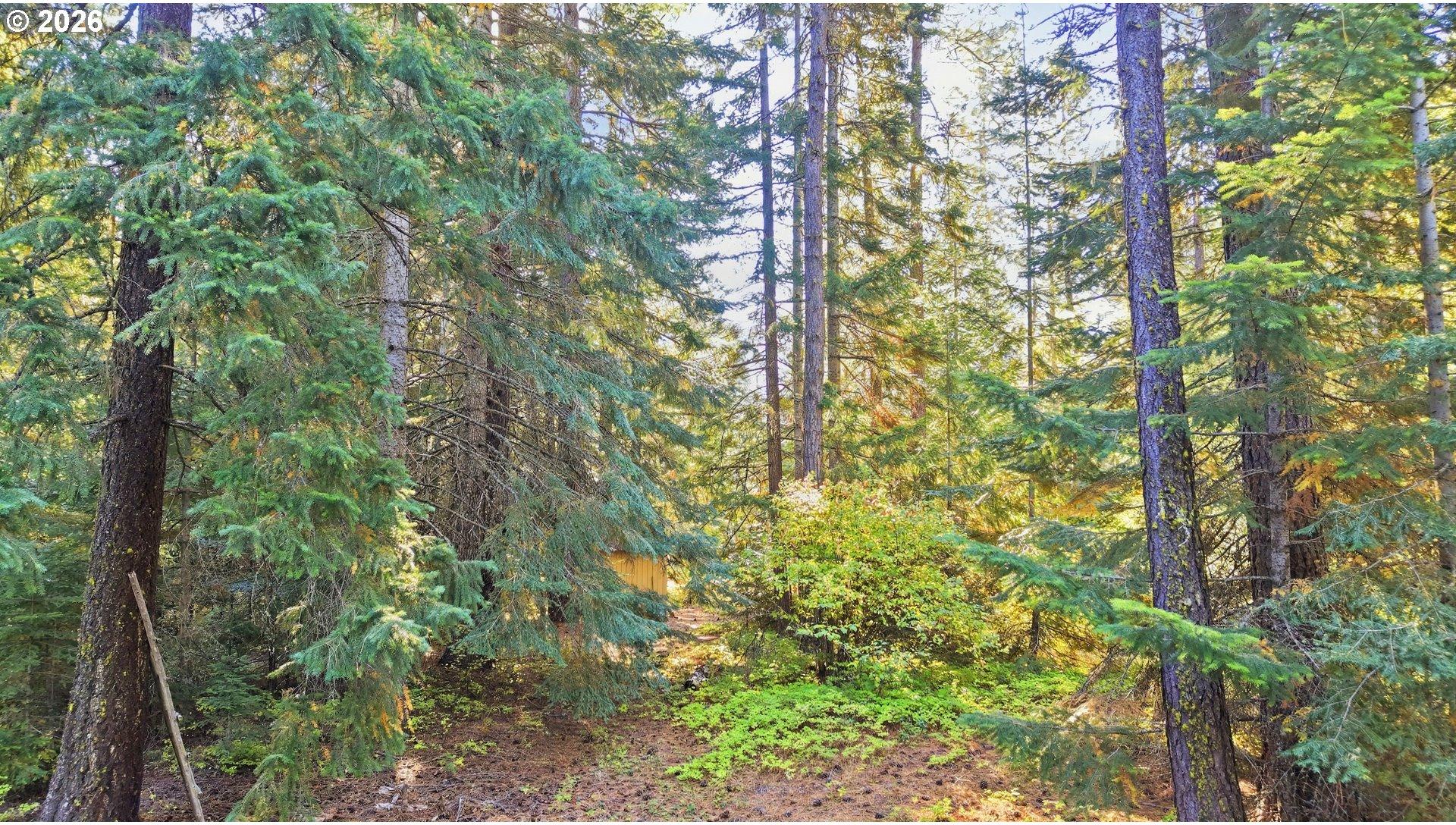 7 Mill Road Appleton, WA 98602 - Photo 10 of 15 Gallery Image 10