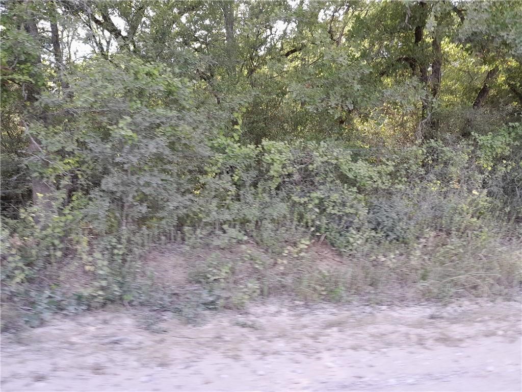 0 Old Pin Oak Road Paige, TX 78659 - Photo 1 of 1 Gallery Image 1