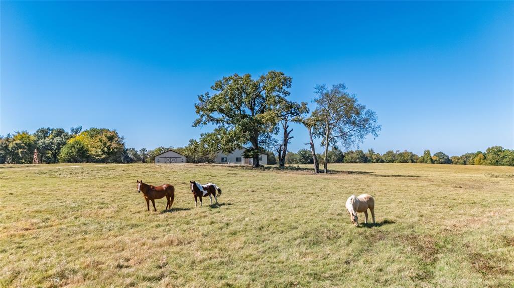 1094 Southwest Sw Cr Saltillo, TX 75478 - Photo 22 of 39