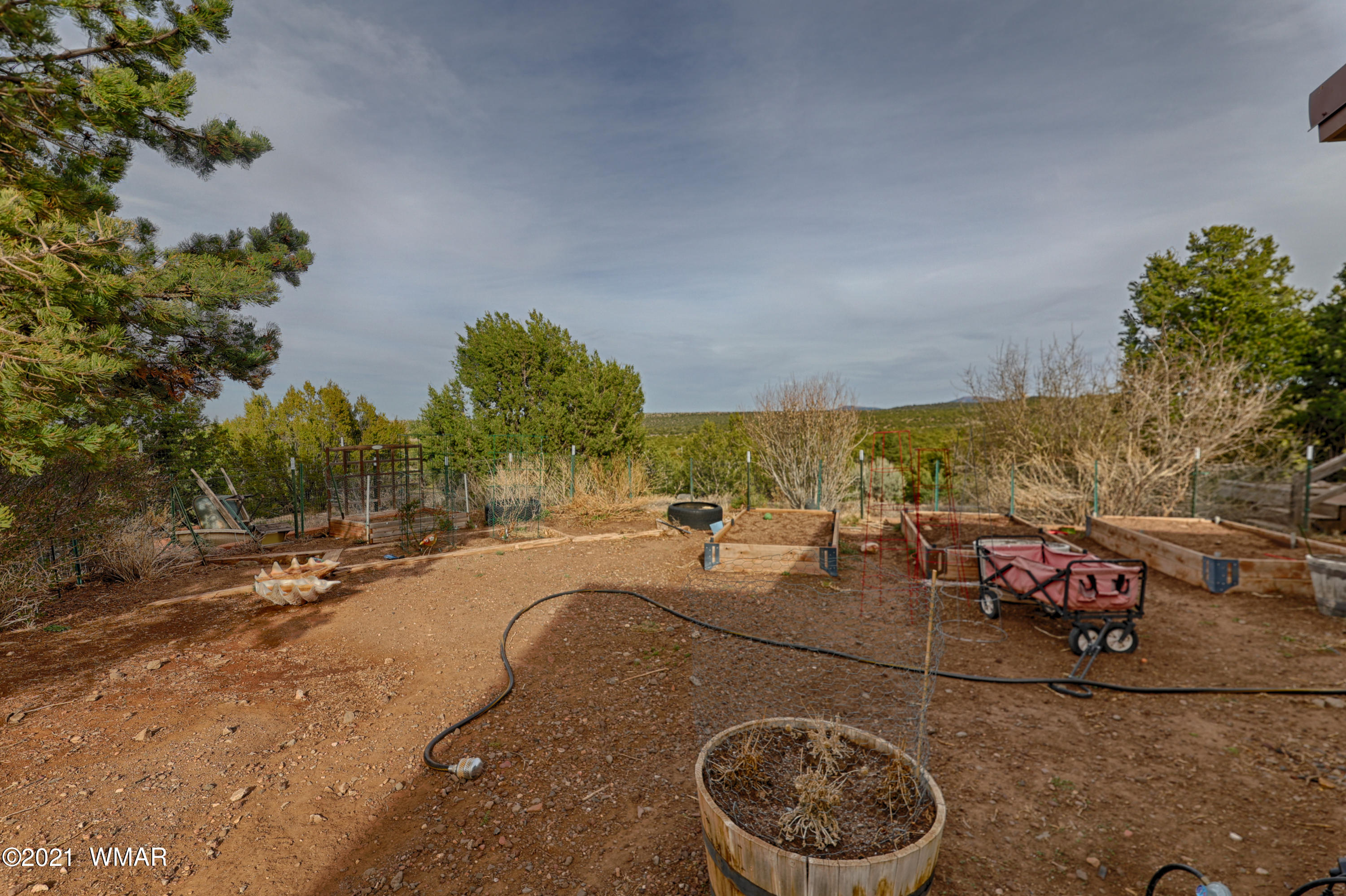 55 County Road Concho, AZ 85924 - Photo 10 of 10