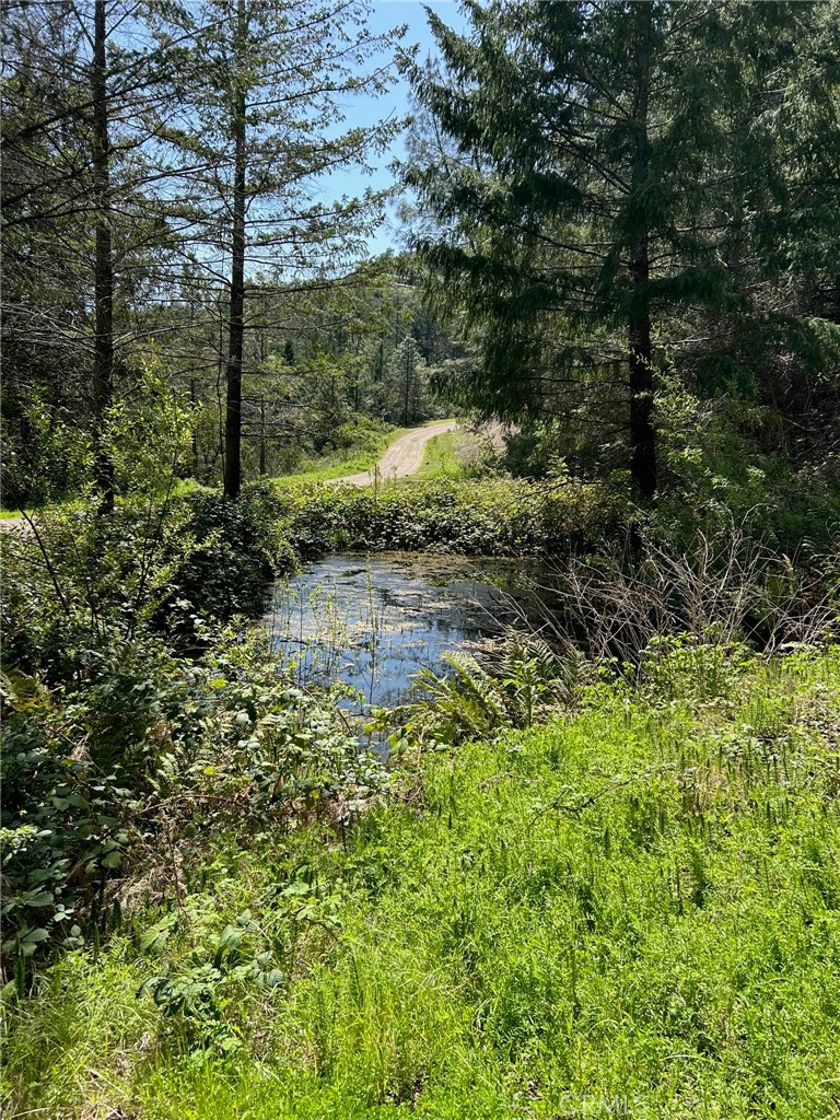 14607 Western Mine Road Middletown, CA 95461 - Photo 1 of 48