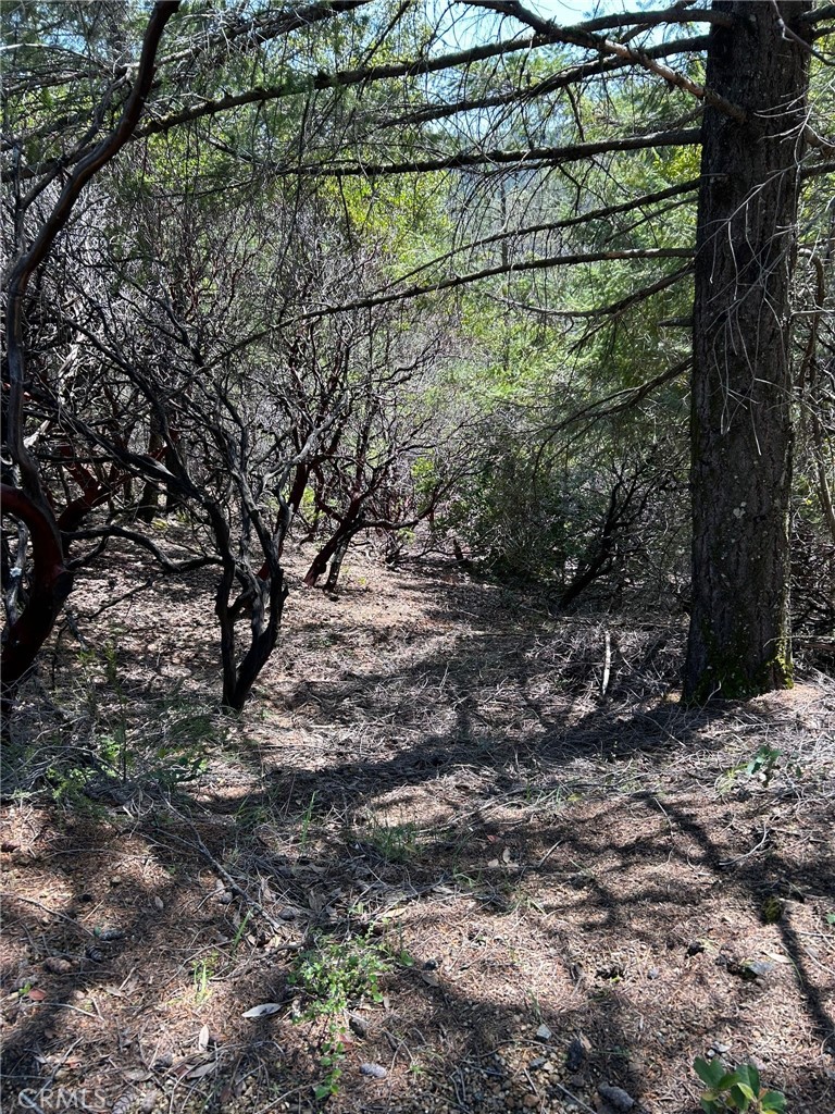 14607 Western Mine Road Middletown, CA 95461 - Photo 12 of 48