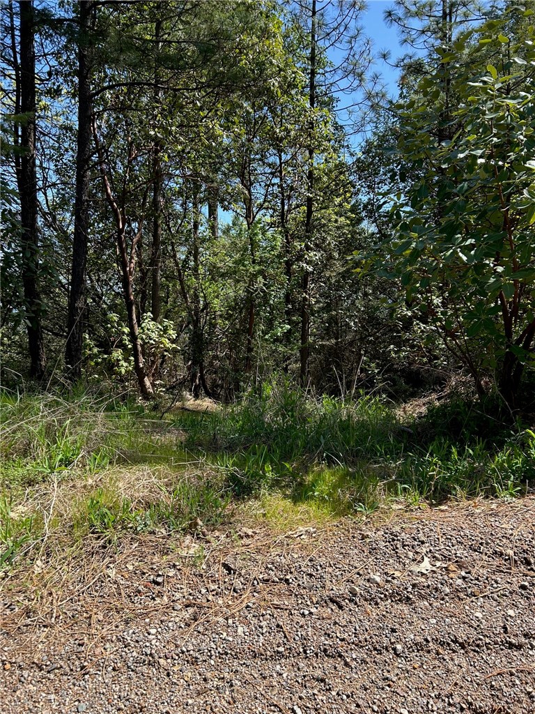 14607 Western Mine Road Middletown, CA 95461 - Photo 13 of 48