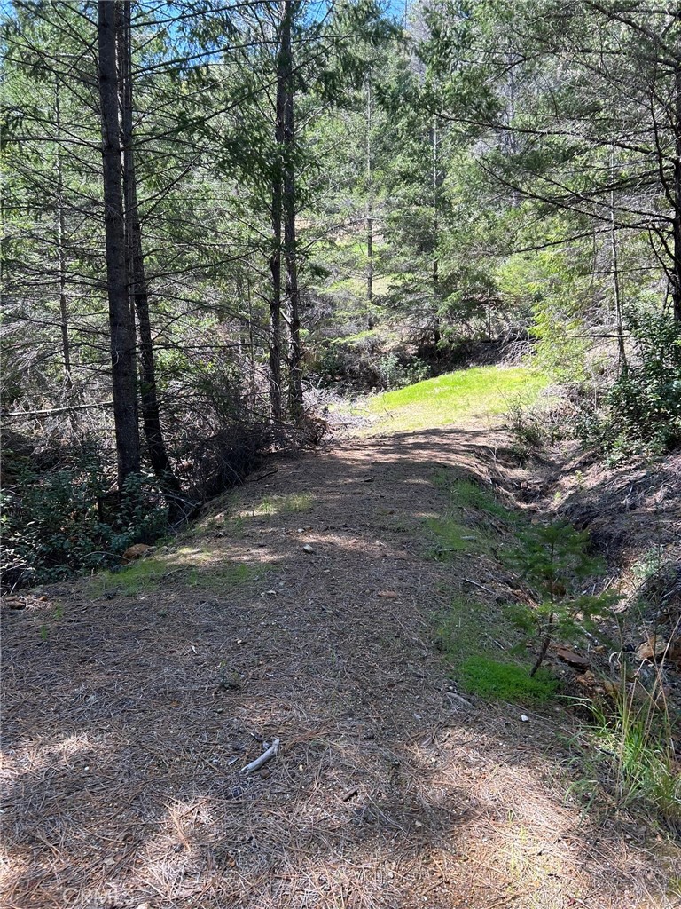 14607 Western Mine Road Middletown, CA 95461 - Photo 14 of 48