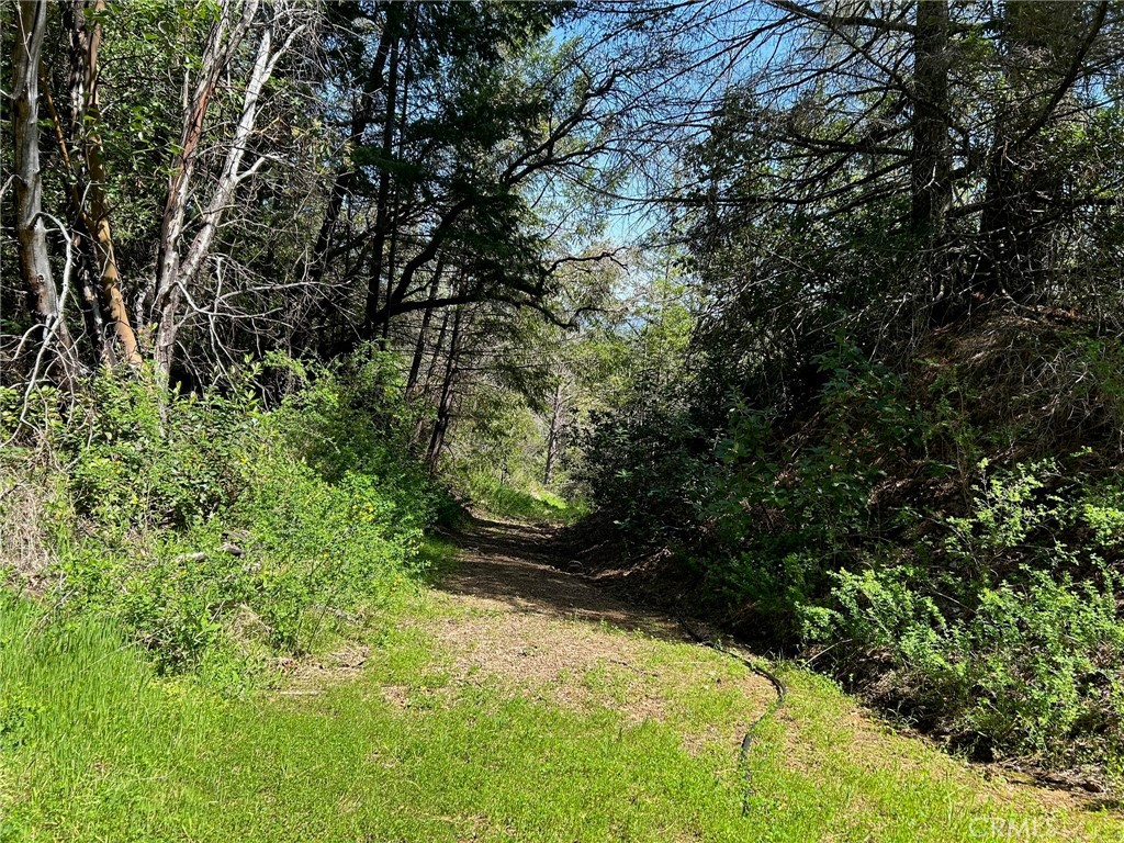 14607 Western Mine Road Middletown, CA 95461 - Photo 15 of 48