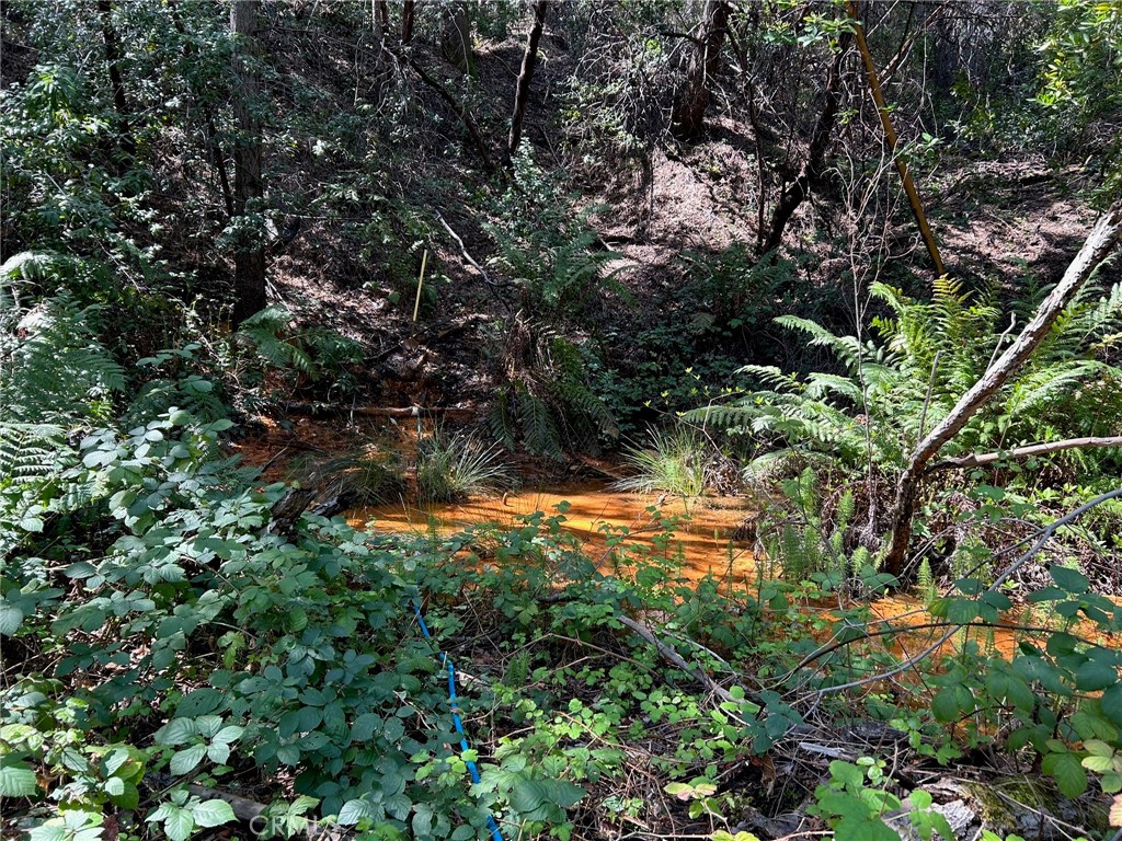 14607 Western Mine Road Middletown, CA 95461 - Photo 16 of 48