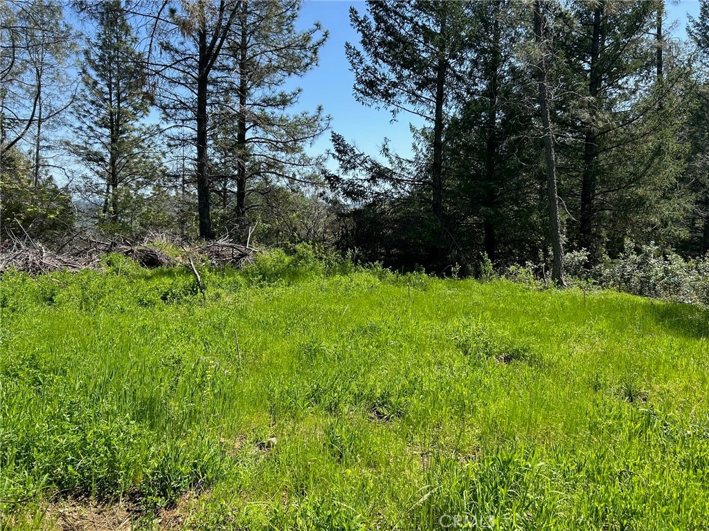 14607 Western Mine Road Middletown, CA 95461 - Photo 2 of 48