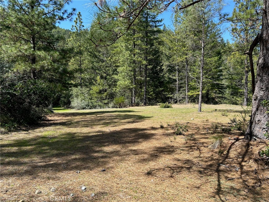 14607 Western Mine Road Middletown, CA 95461 - Photo 25 of 48