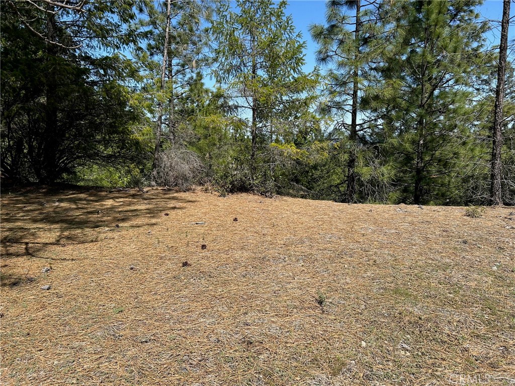 14607 Western Mine Road Middletown, CA 95461 - Photo 26 of 48