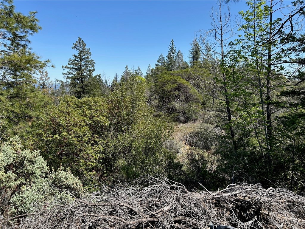 14607 Western Mine Road Middletown, CA 95461 - Photo 27 of 48