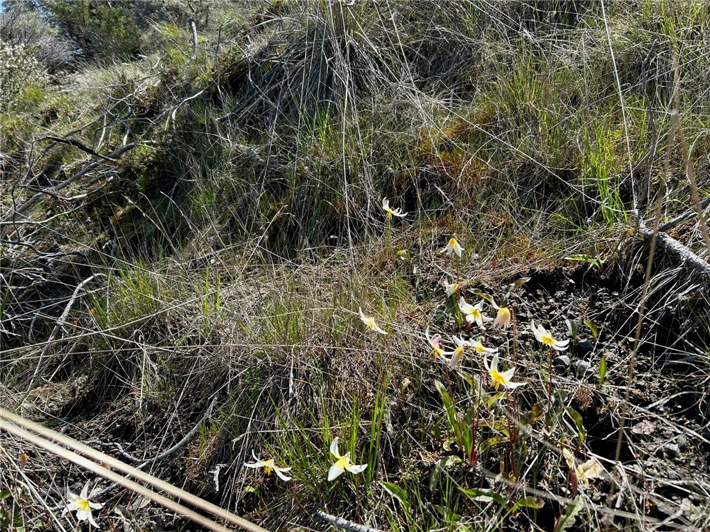 14607 Western Mine Road Middletown, CA 95461 - Photo 28 of 48