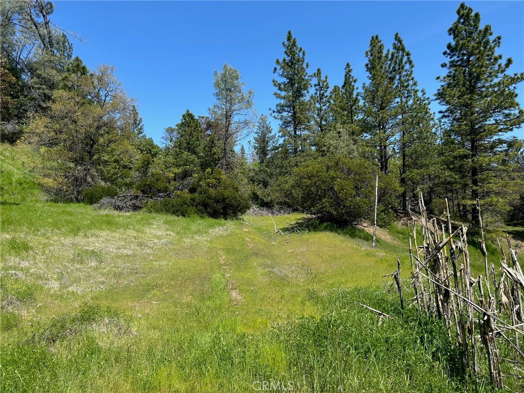 14607 Western Mine Road Middletown, CA 95461 - Photo 29 of 48