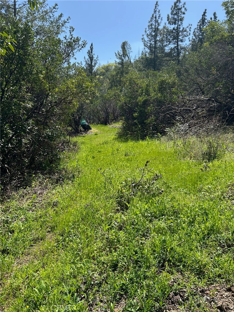 14607 Western Mine Road Middletown, CA 95461 - Photo 30 of 48