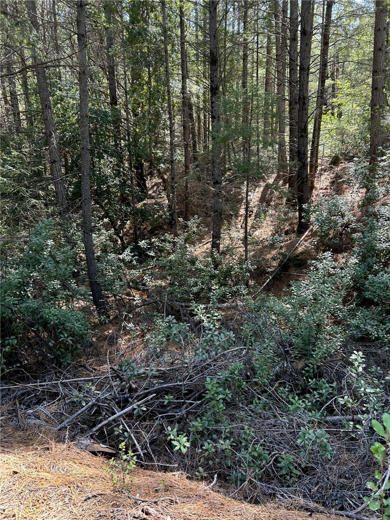 14607 Western Mine Road Middletown, CA 95461 - Photo 36 of 48