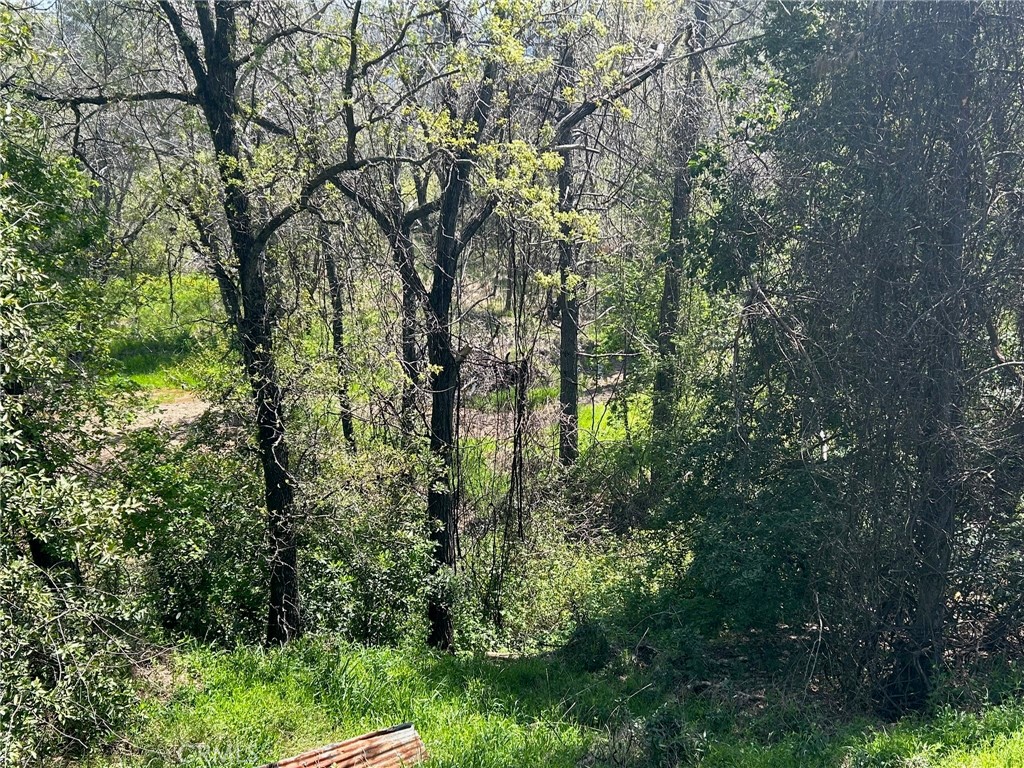 14607 Western Mine Road Middletown, CA 95461 - Photo 38 of 48