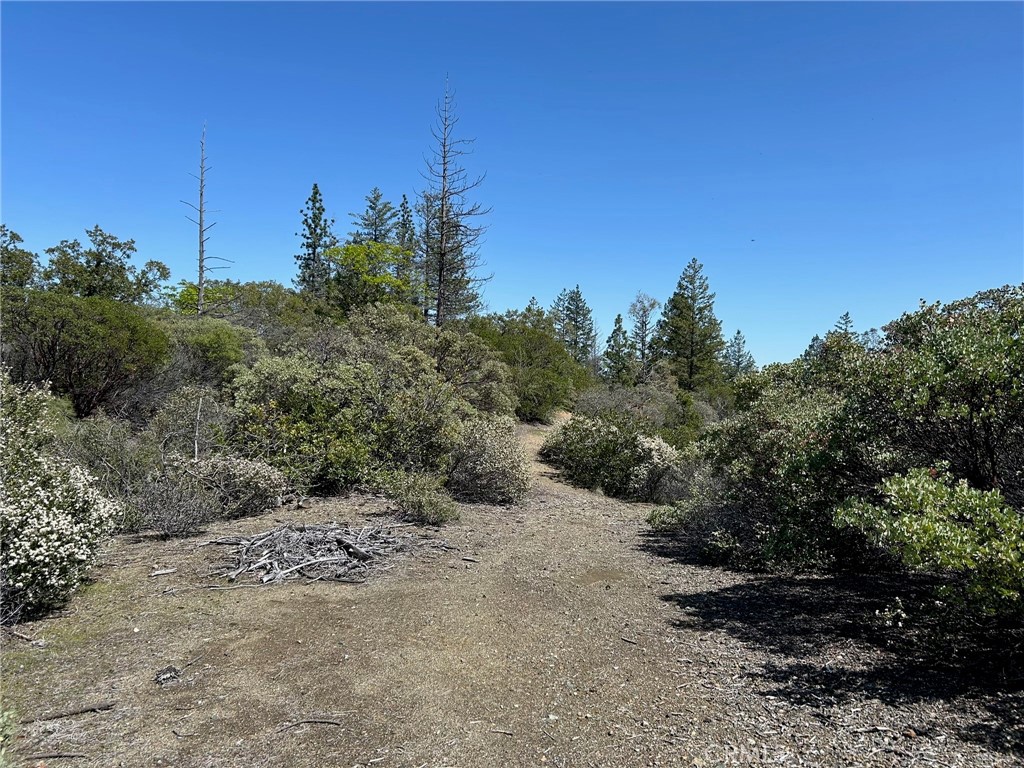 14607 Western Mine Road Middletown, CA 95461 - Photo 4 of 48